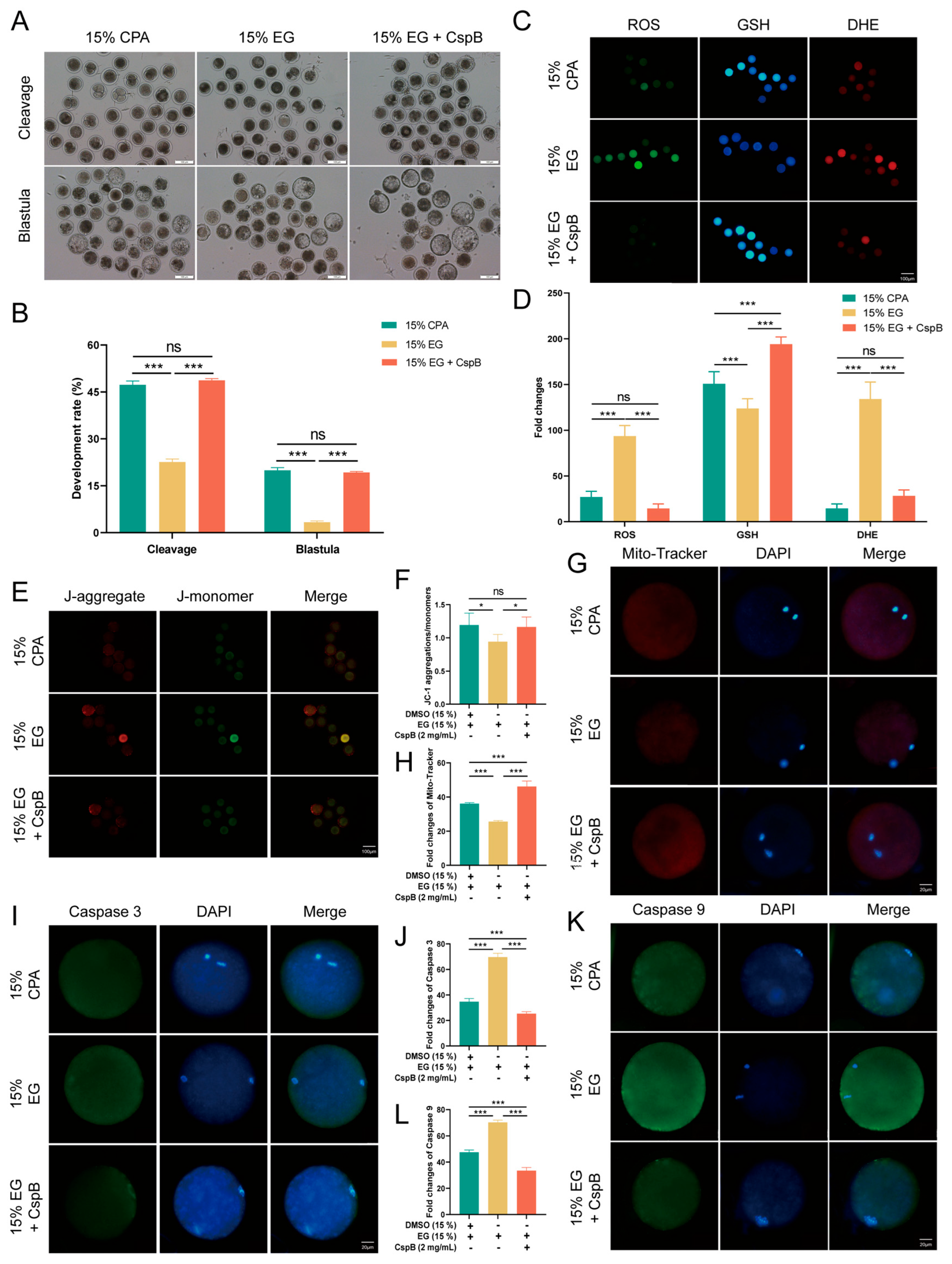 Antioxidants 15 00107 g006