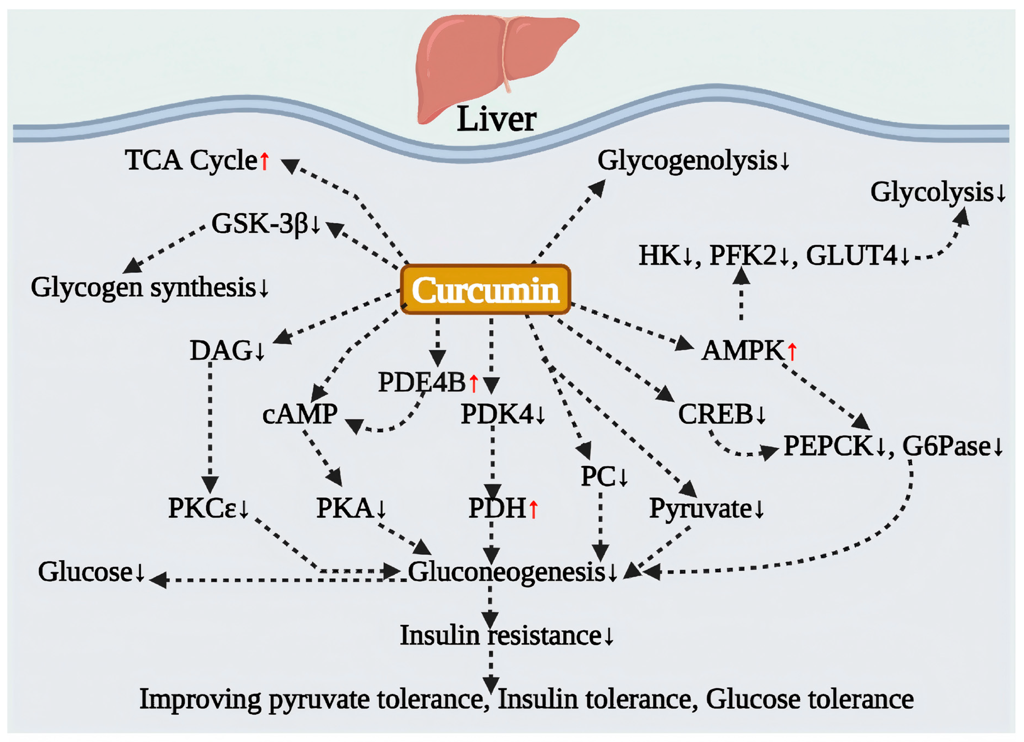 Antioxidants 15 00109 g001