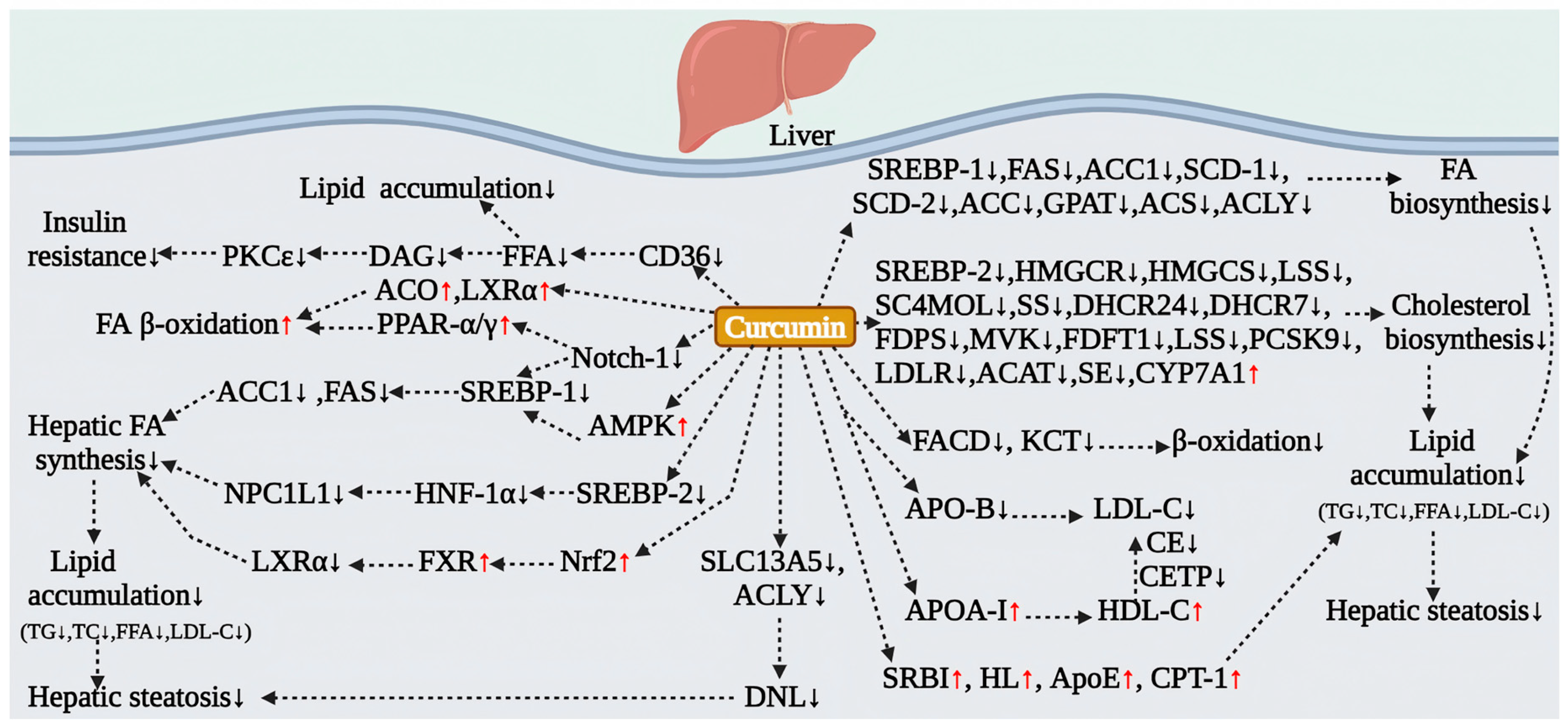 Antioxidants 15 00109 g003