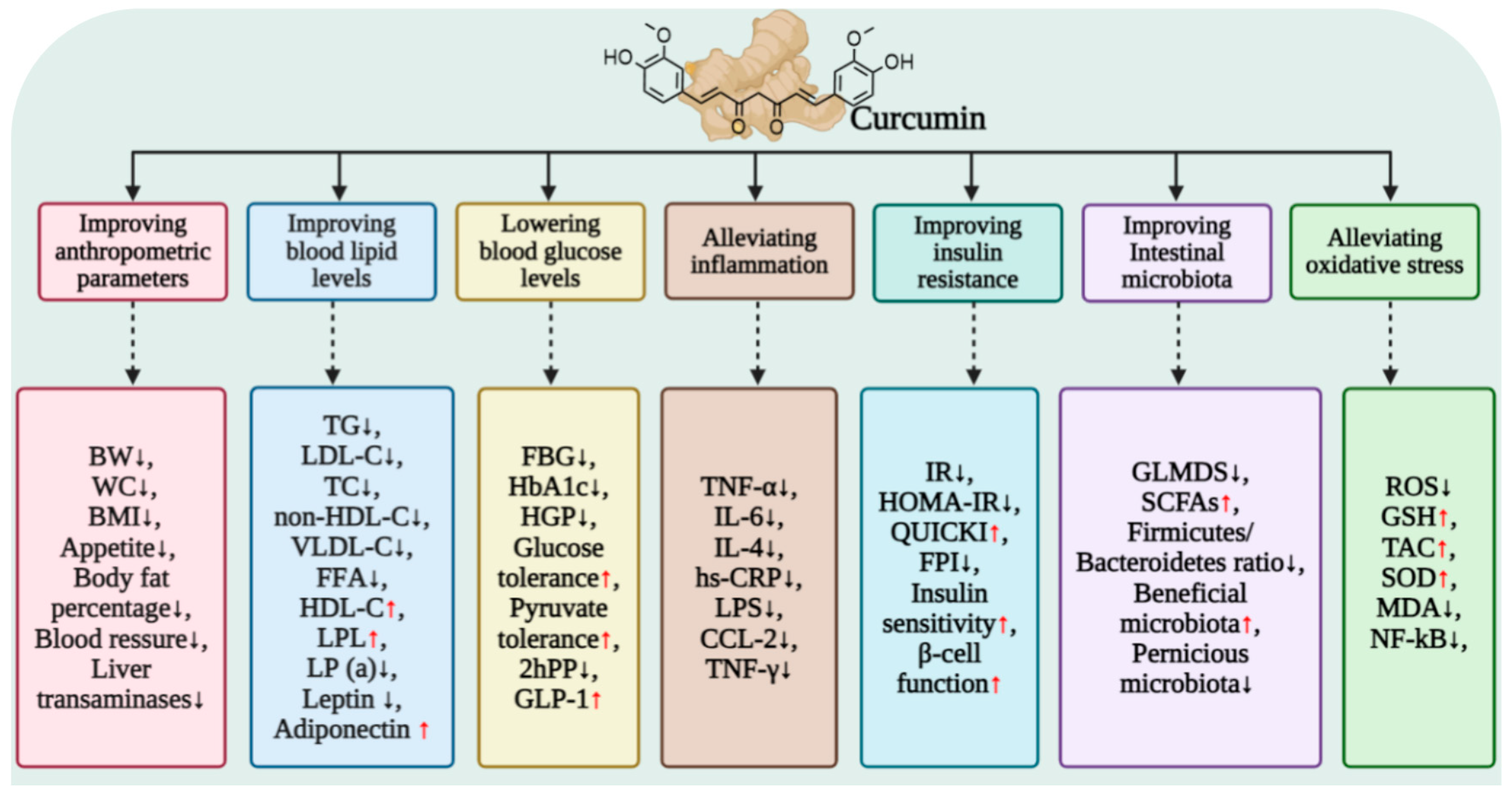 Antioxidants 15 00109 g008