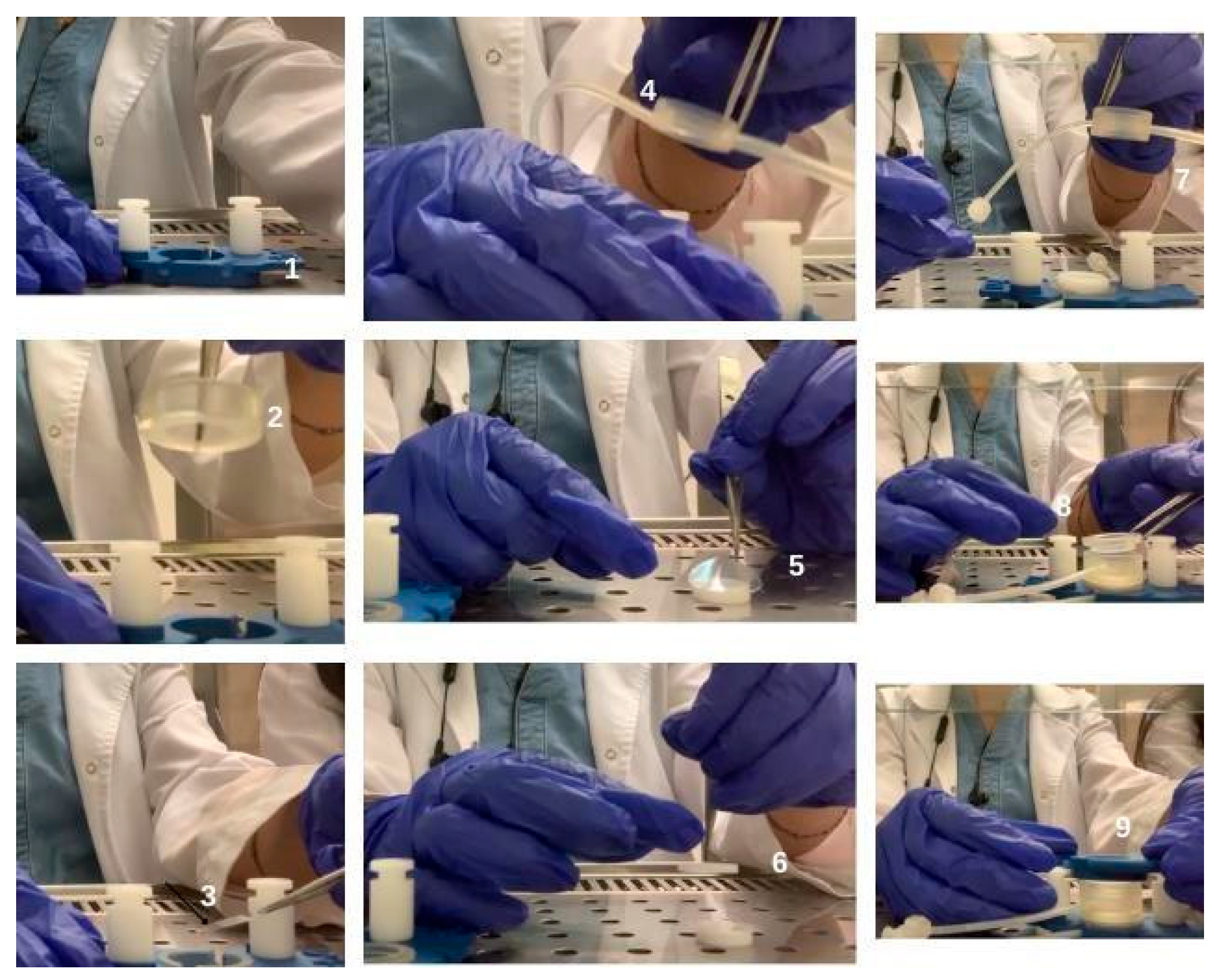 Antioxidants 15 00115 g001