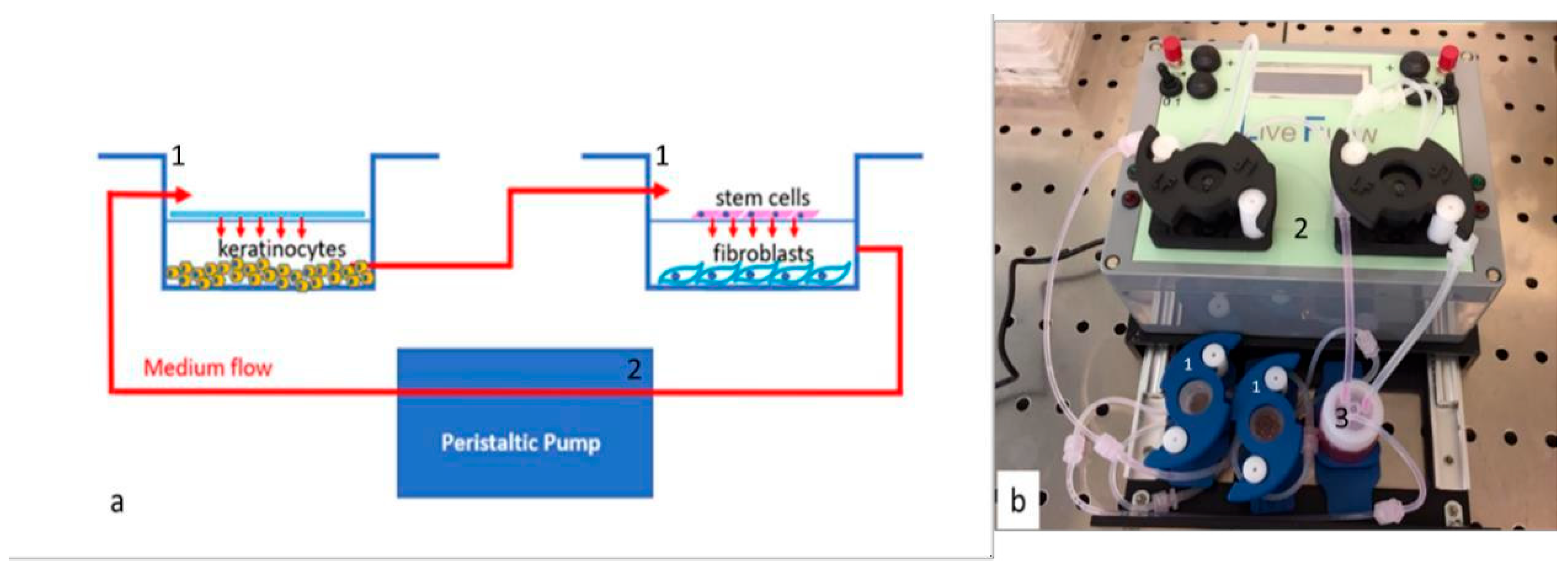 Antioxidants 15 00115 g002