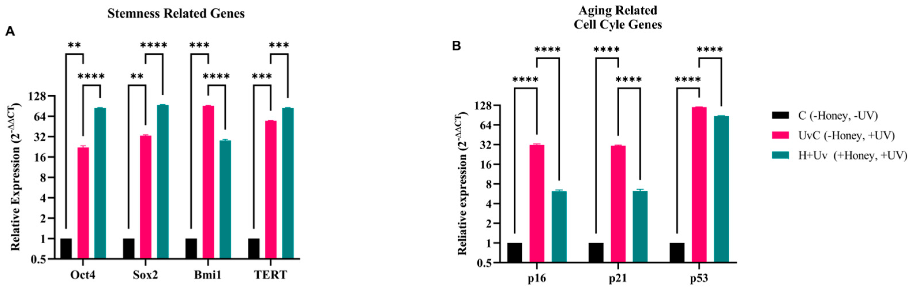 Antioxidants 15 00115 g005