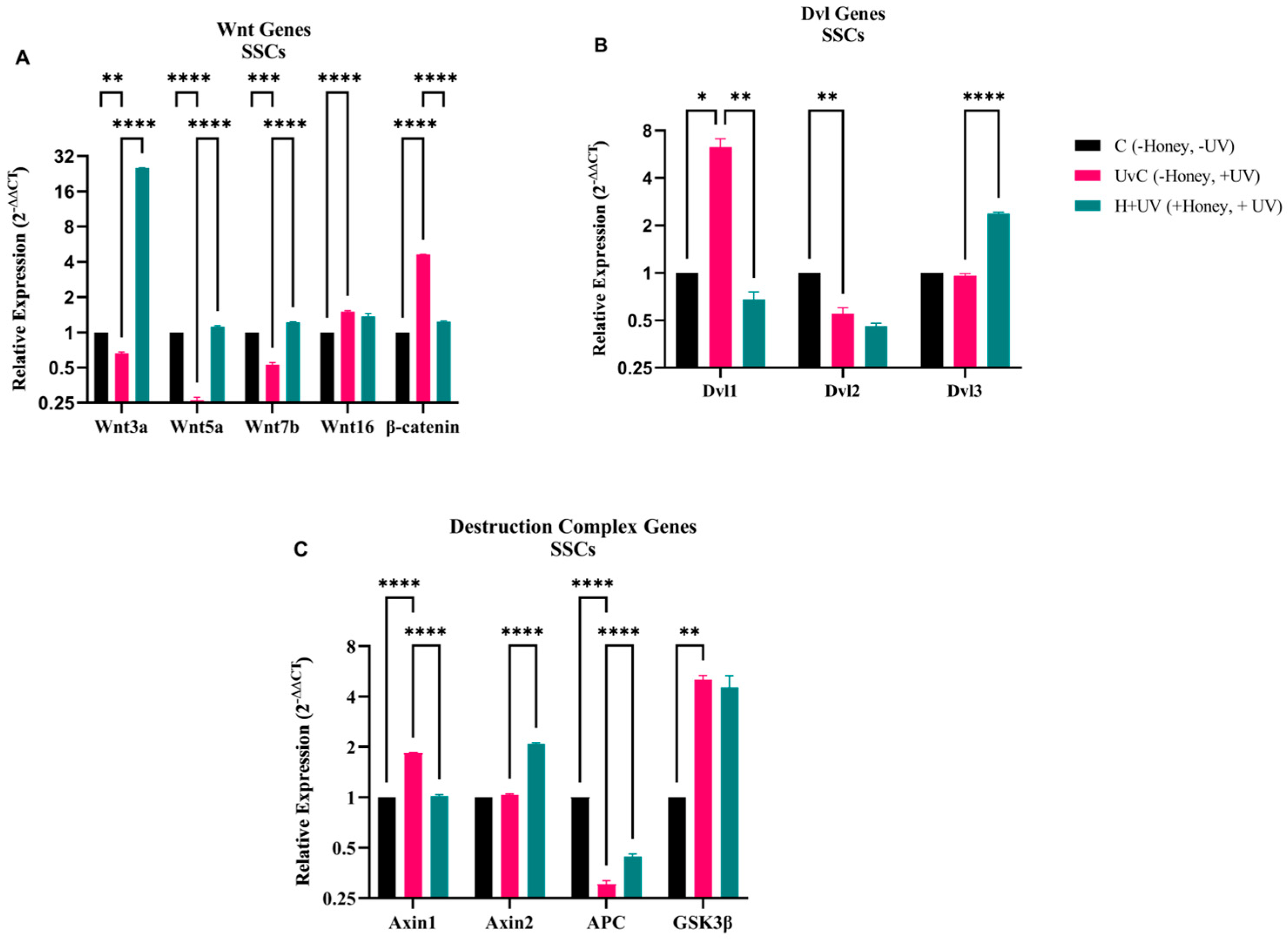 Antioxidants 15 00115 g006
