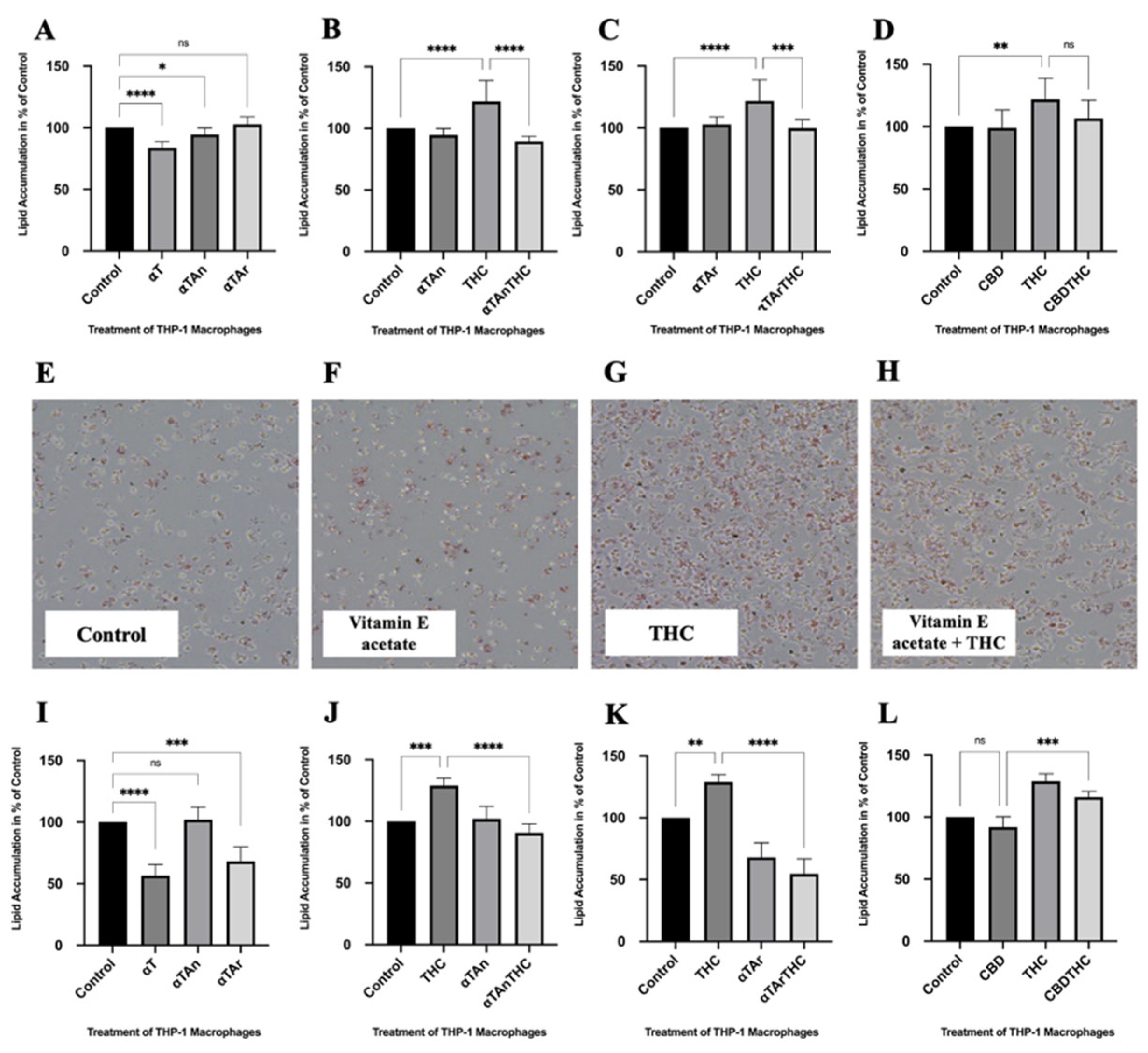 Antioxidants 15 00119 g001