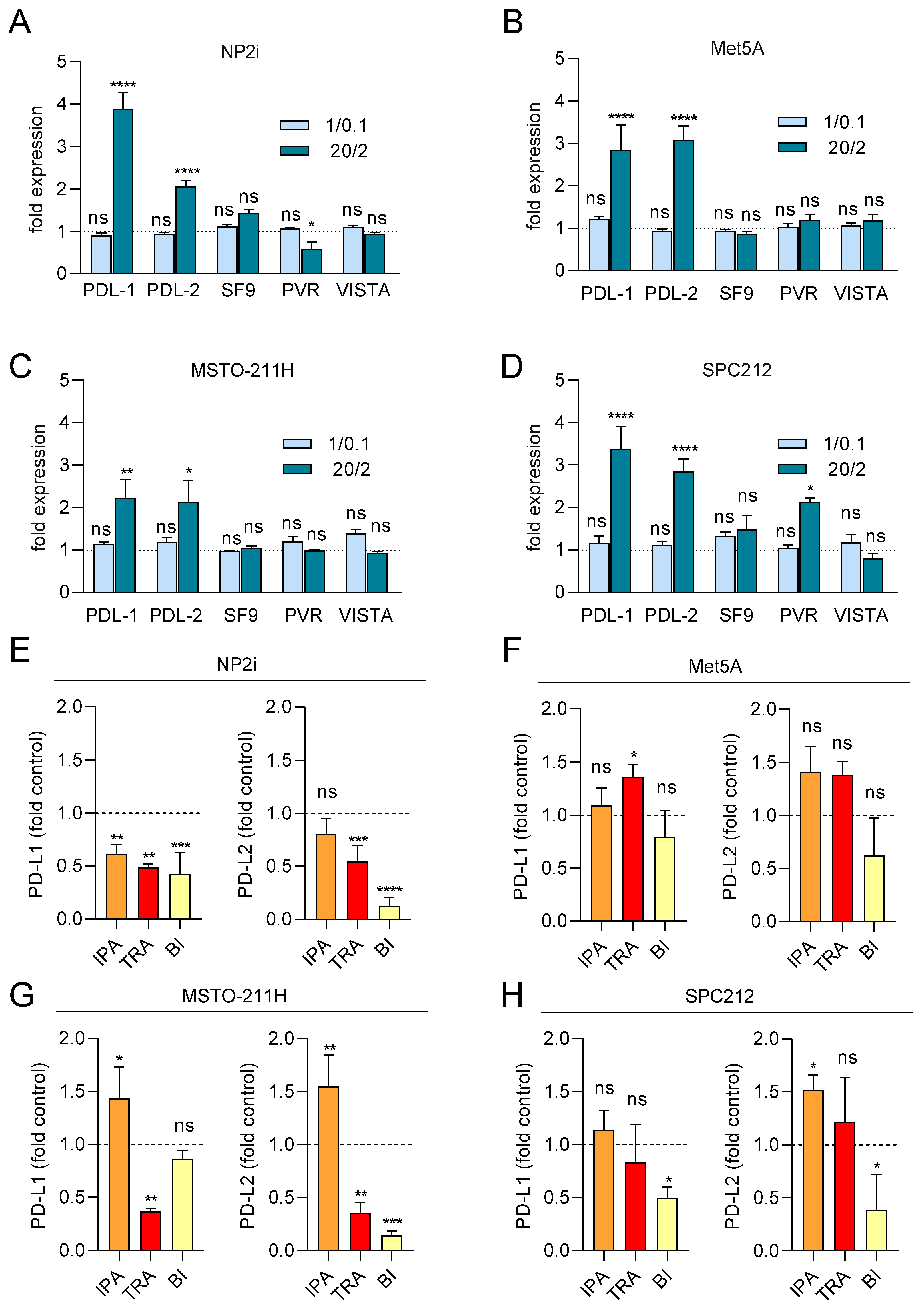 Antioxidants 15 00121 g006
