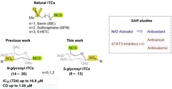 Natural ITCs  and the designed N- and S-Glycosyl ITC derivatives for SAR studies. The previous work focused on N-glycosyl ITCs (14–20), while the current study focuses on the novel S-glycosyl ITC derivatives (6–13).