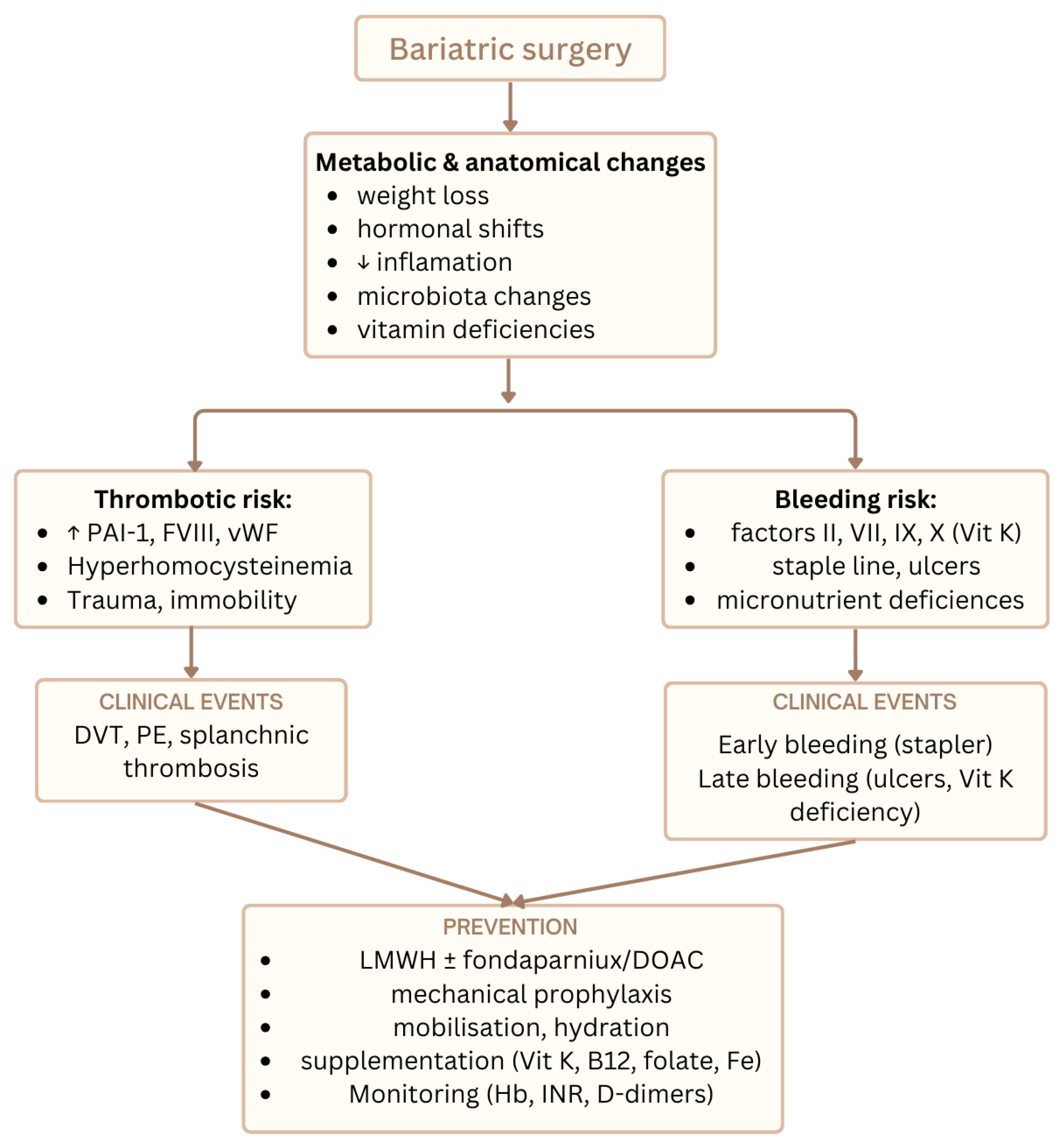 Antioxidants 15 00124 g002