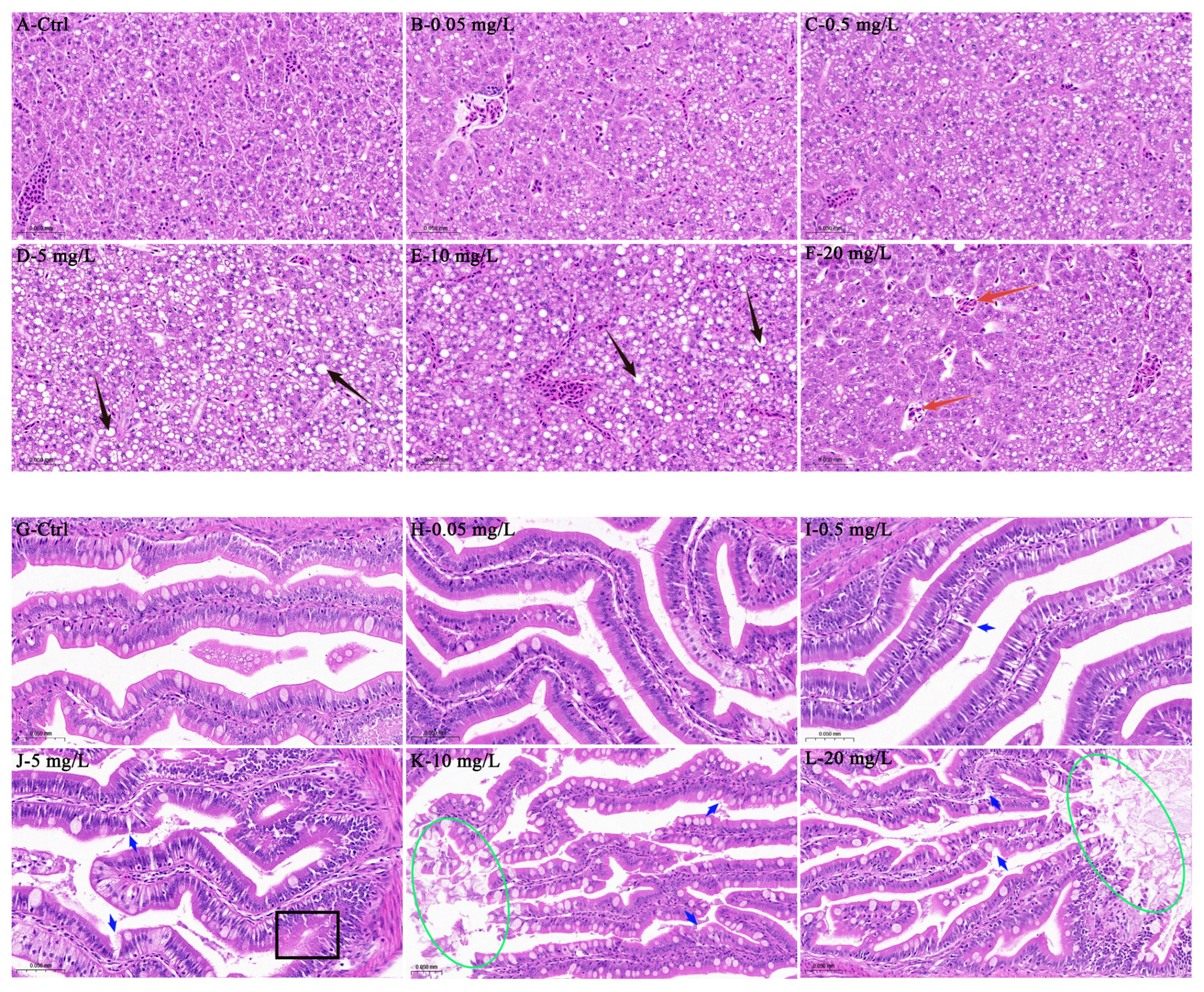 Antioxidants 15 00125 g001