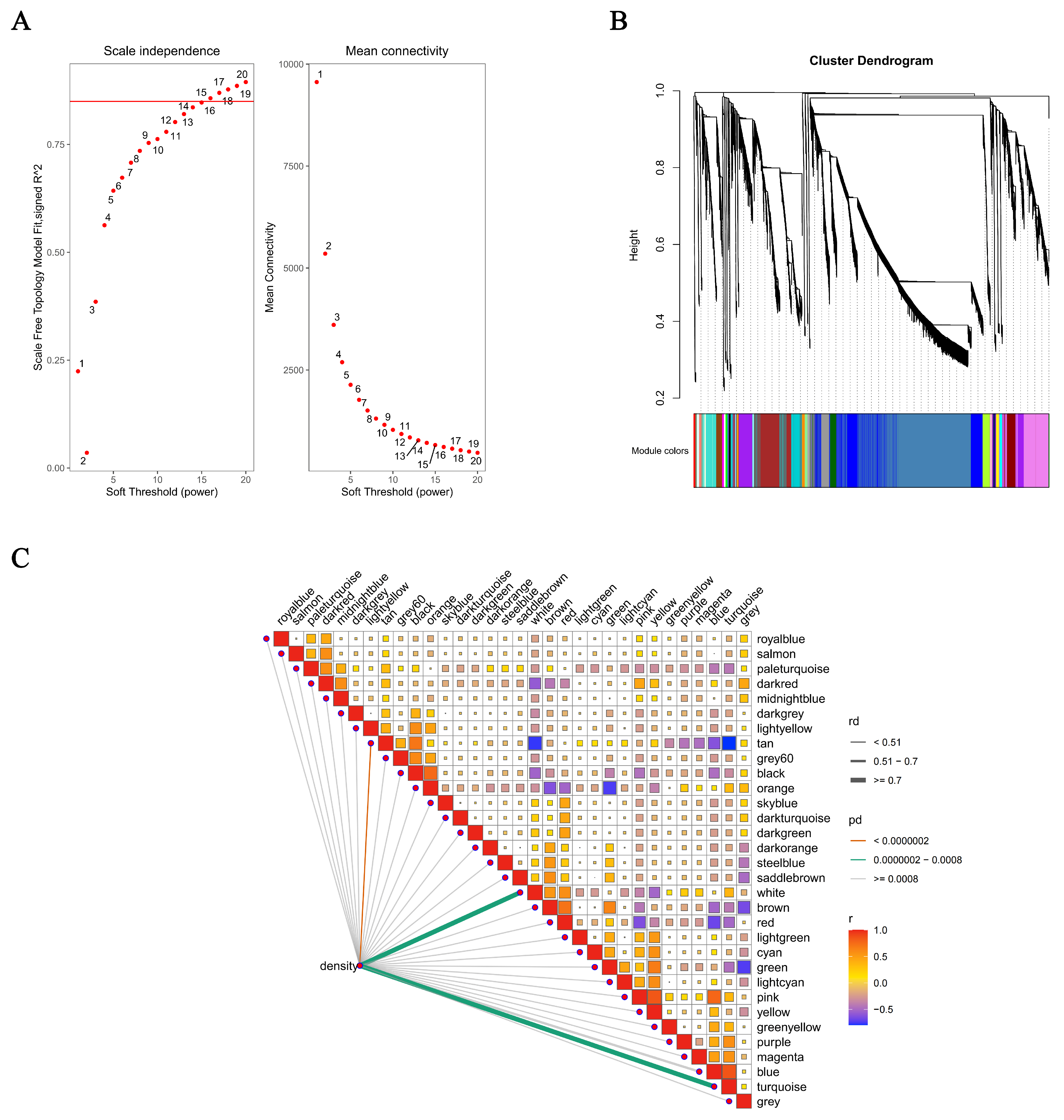 Antioxidants 15 00125 g003