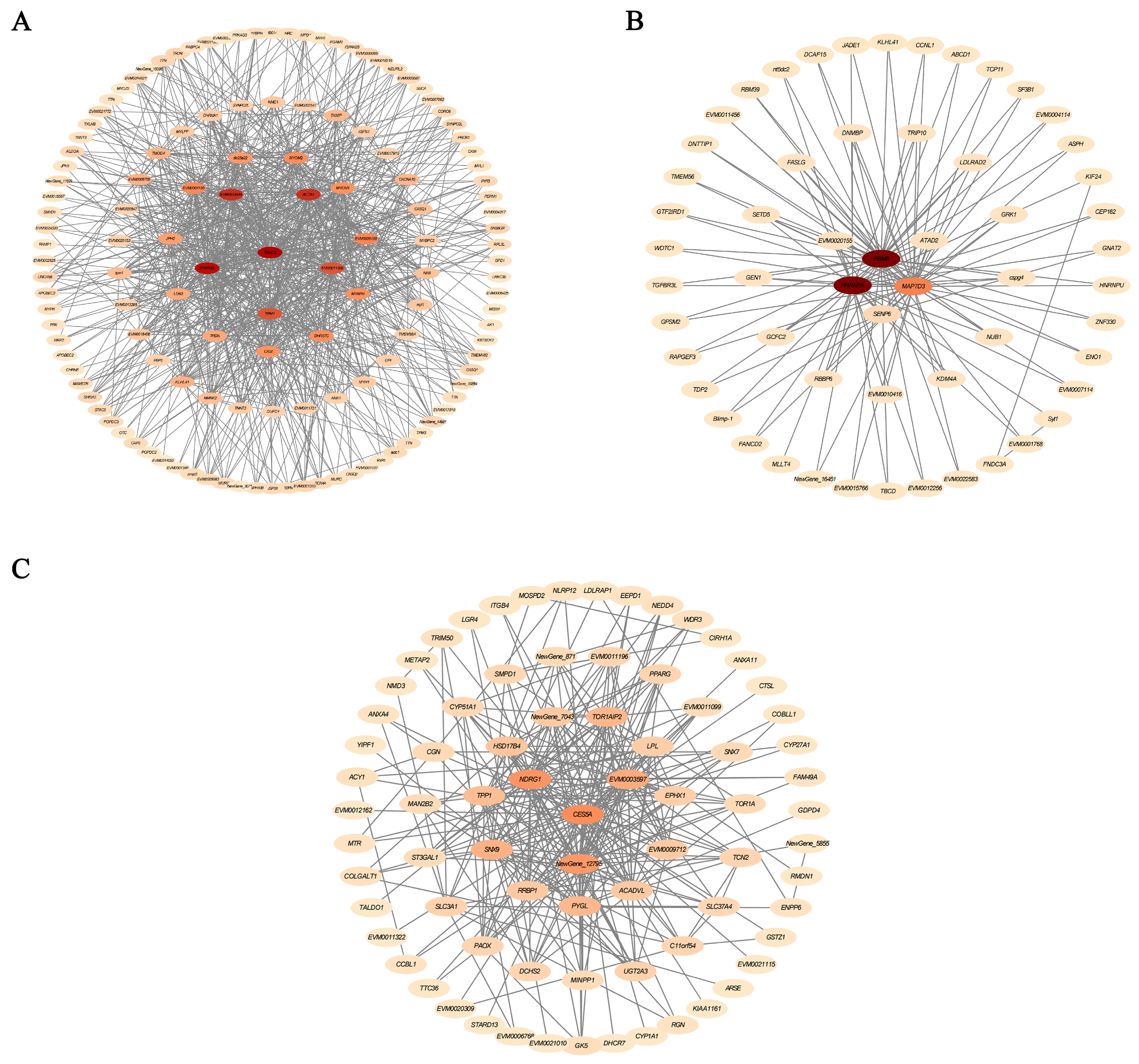 Antioxidants 15 00125 g005
