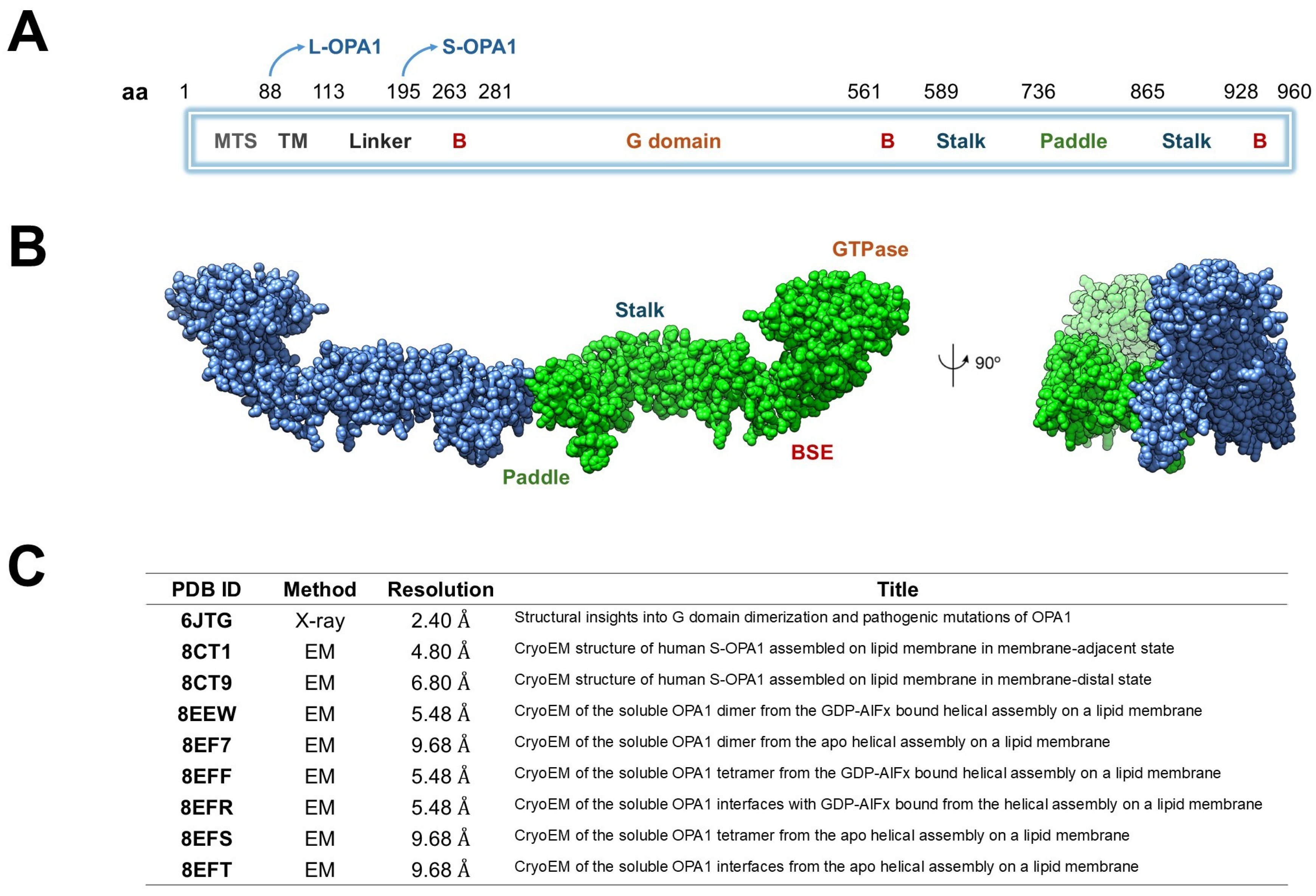 Antioxidants 15 00144 g001