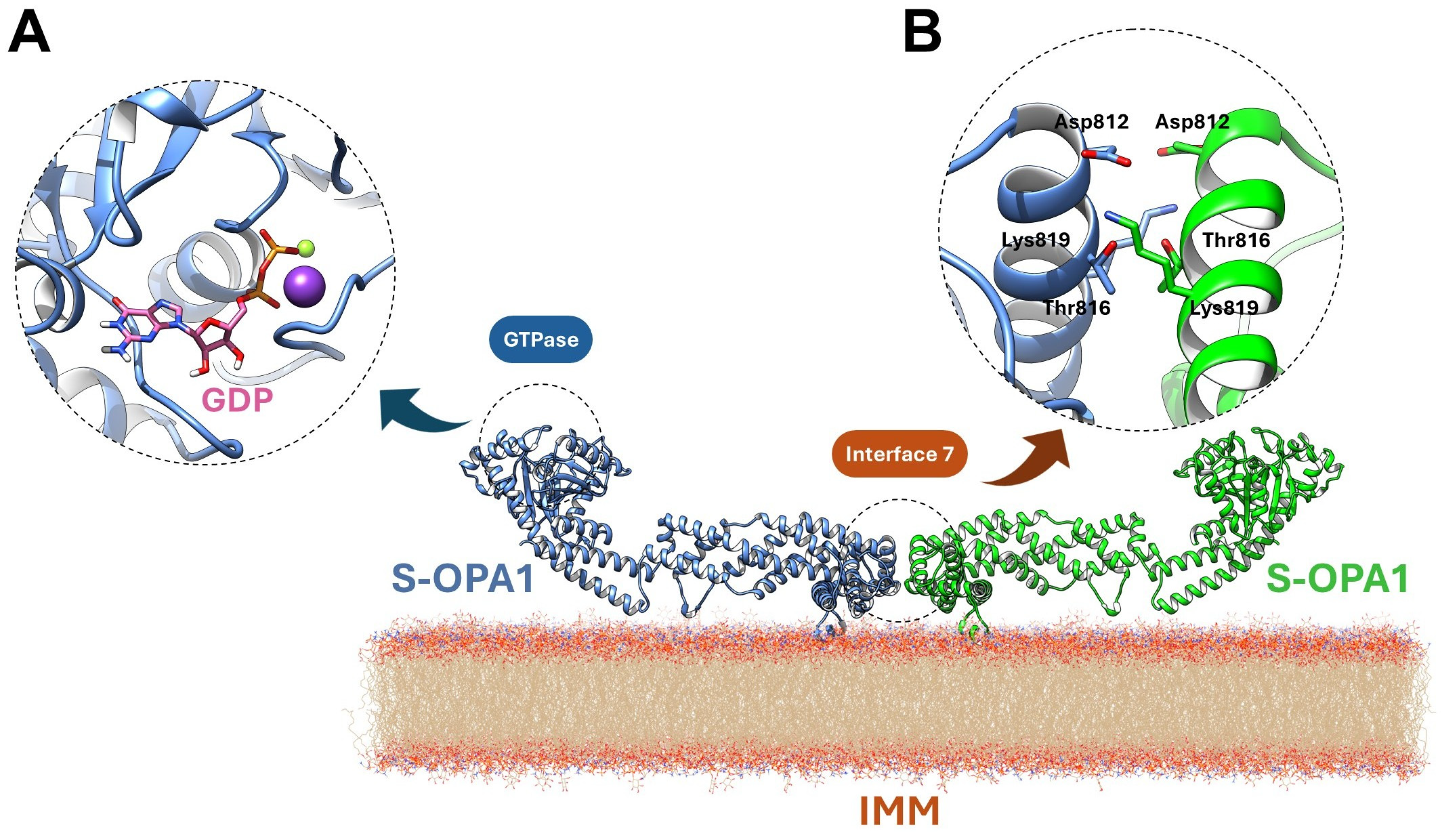 Antioxidants 15 00144 g002