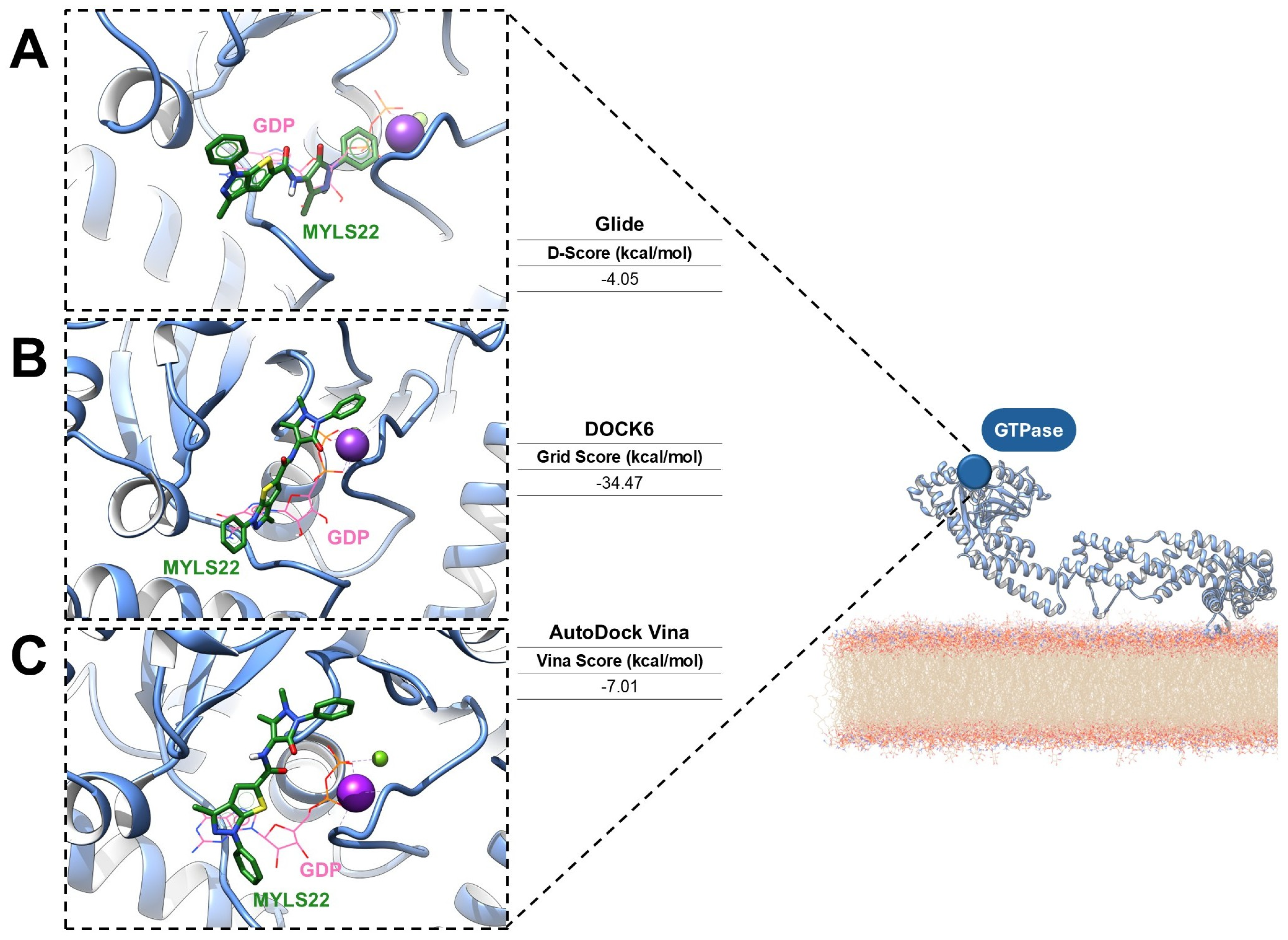 Antioxidants 15 00144 g005