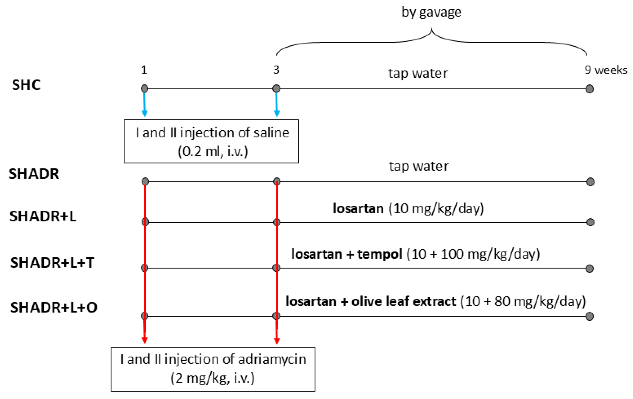 Antioxidants 15 00146 g001 Antioxidants 15 00146 g001