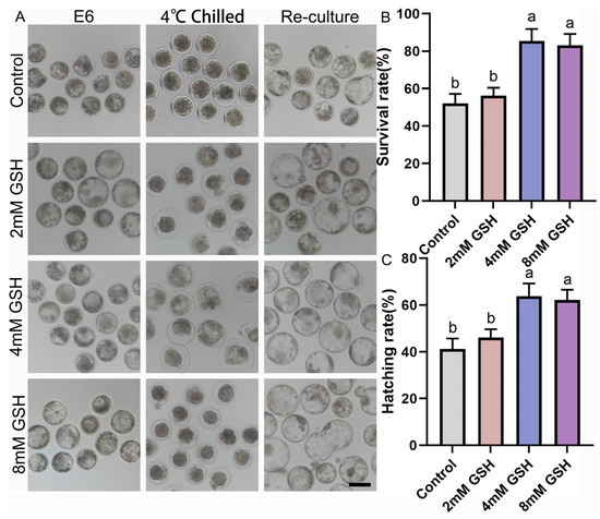 Antioxidants 15 00148 g001