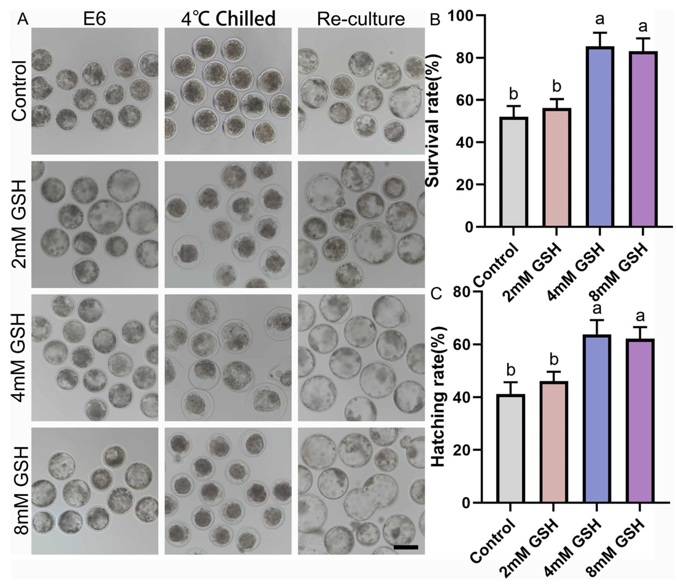 Antioxidants 15 00148 g001