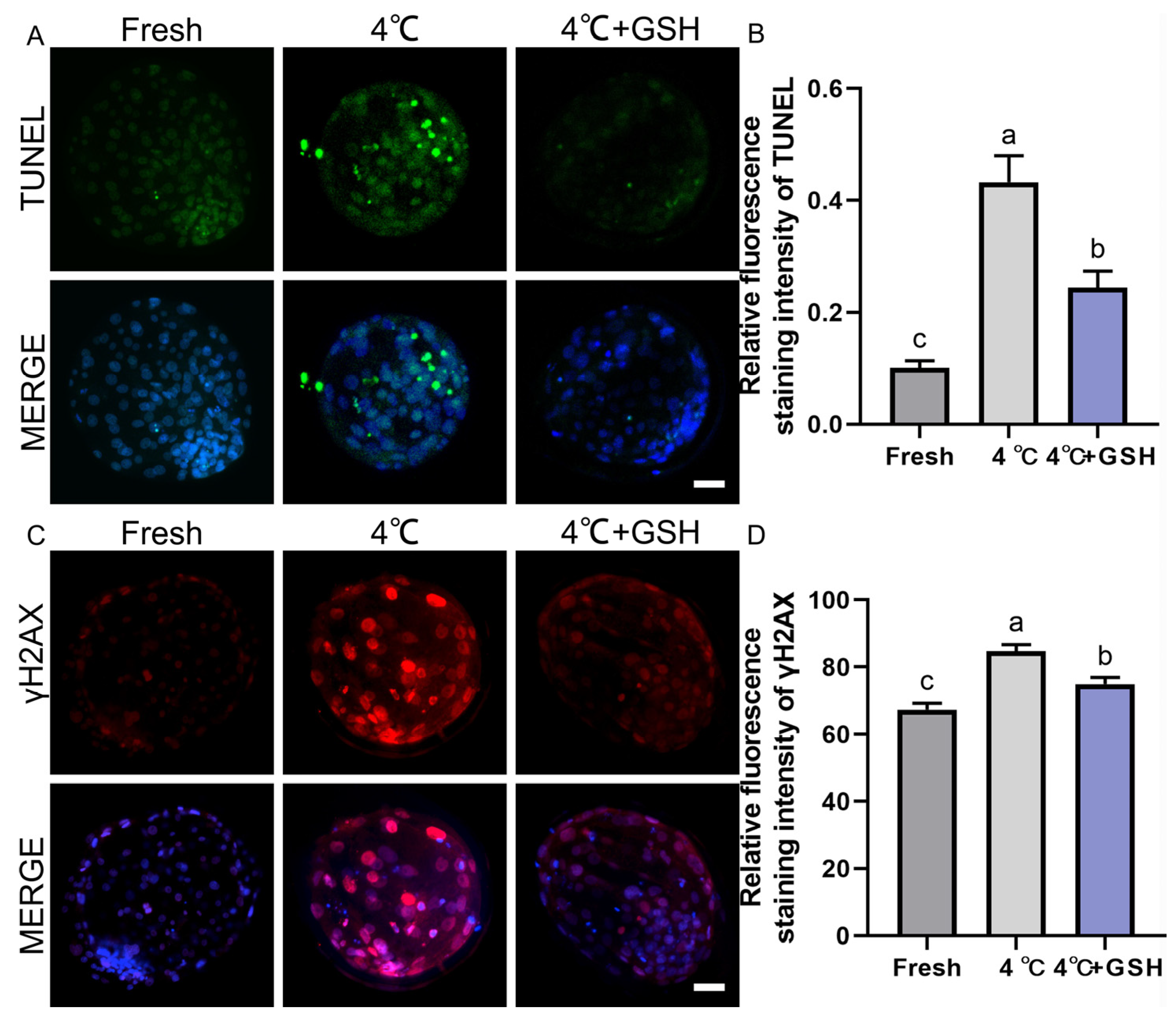 Antioxidants 15 00148 g003