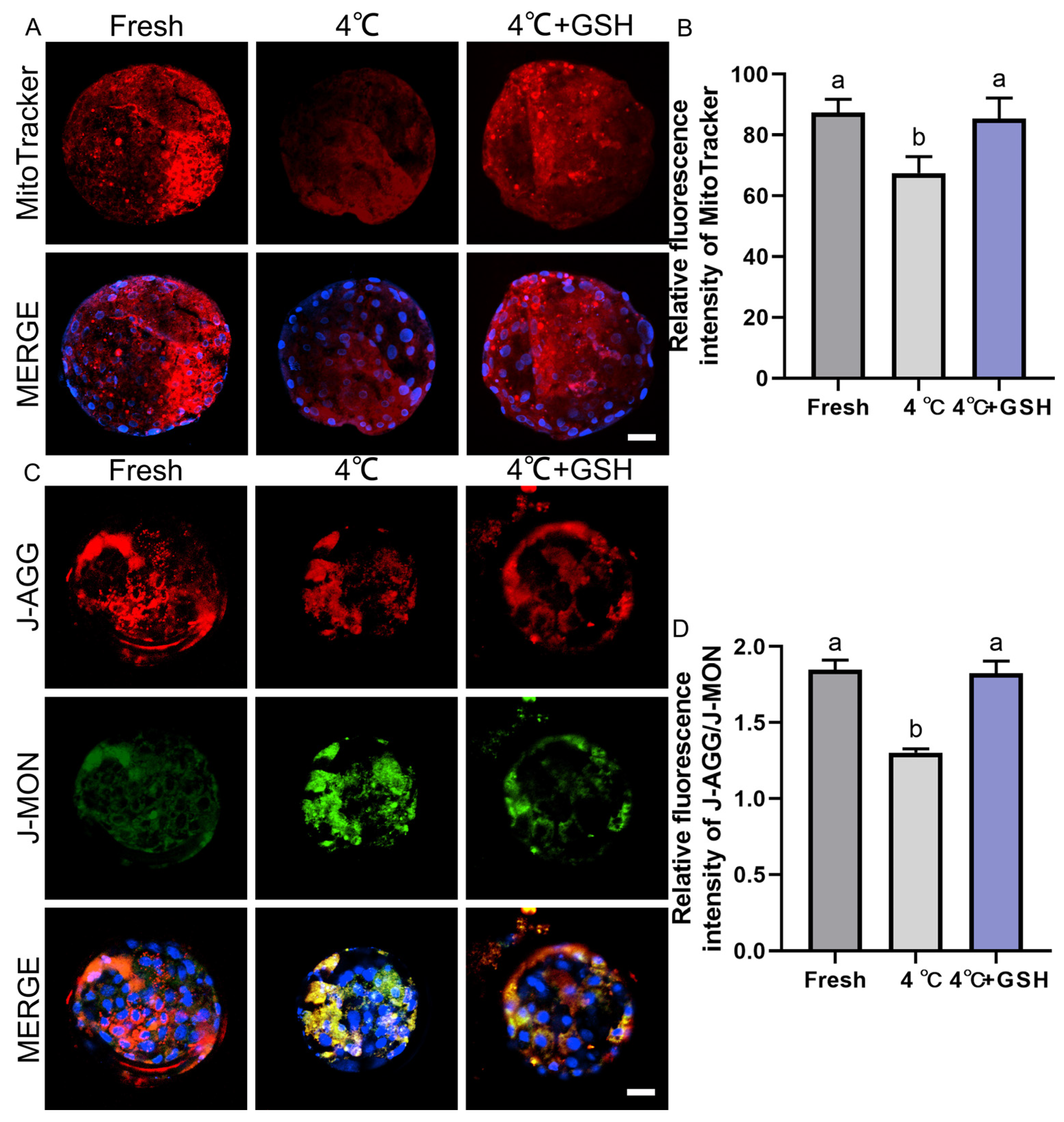 Antioxidants 15 00148 g004