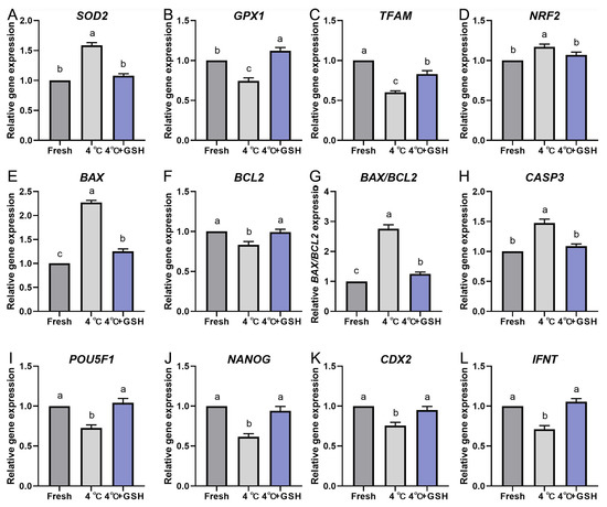 Antioxidants 15 00148 g005