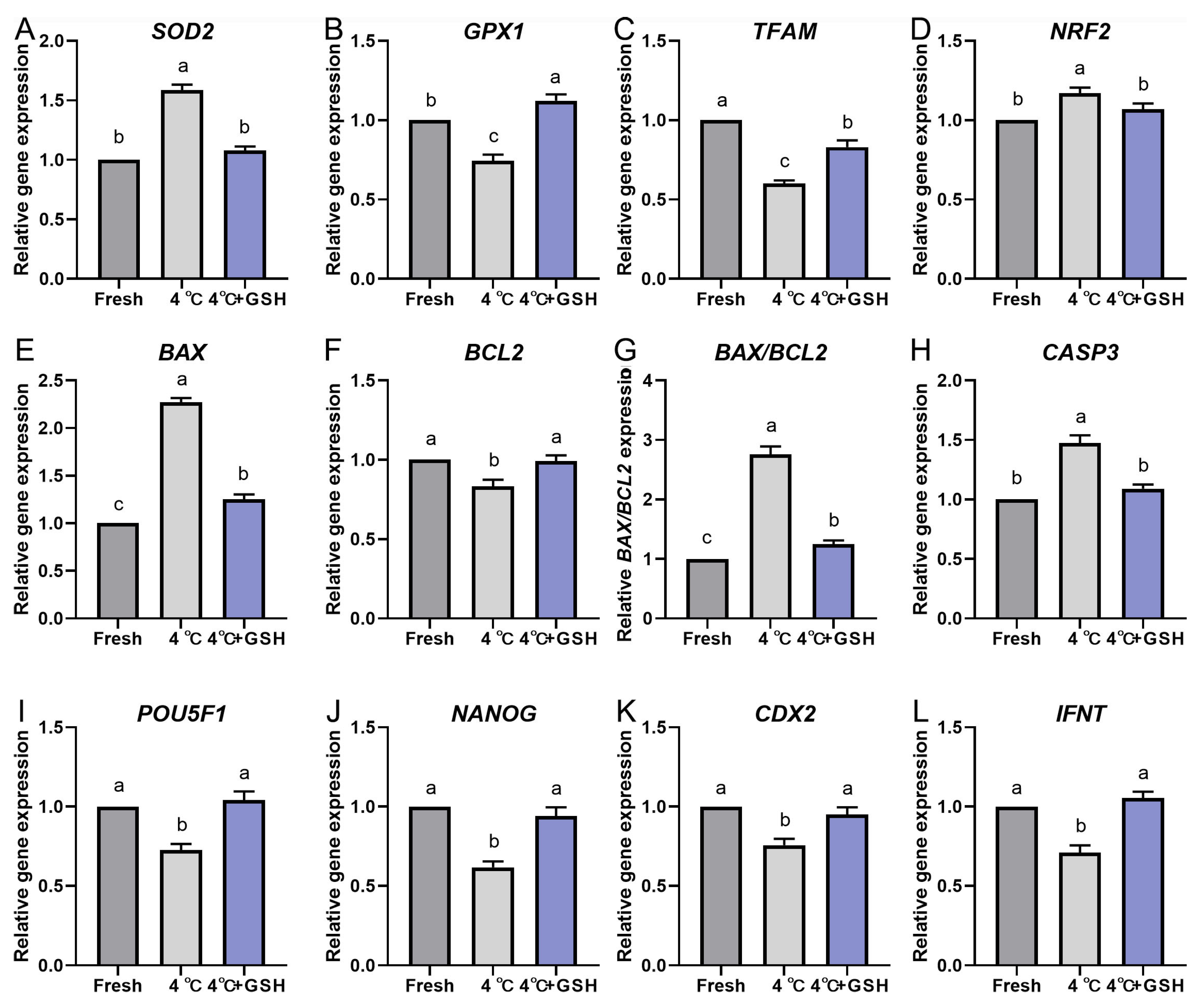 Antioxidants 15 00148 g005