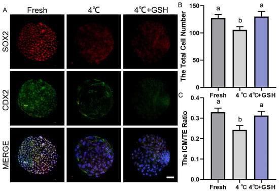 Antioxidants 15 00148 g006