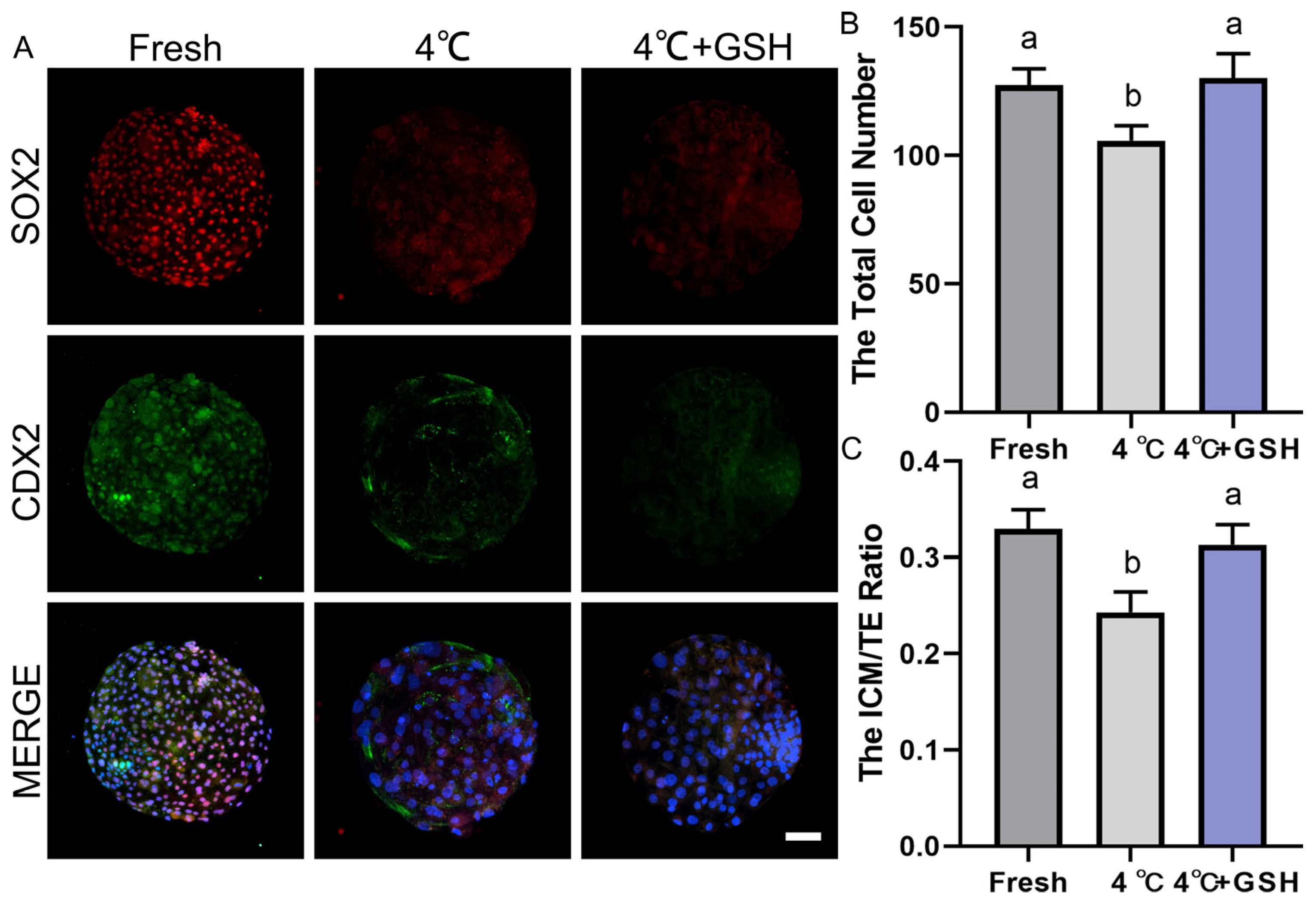 Antioxidants 15 00148 g006