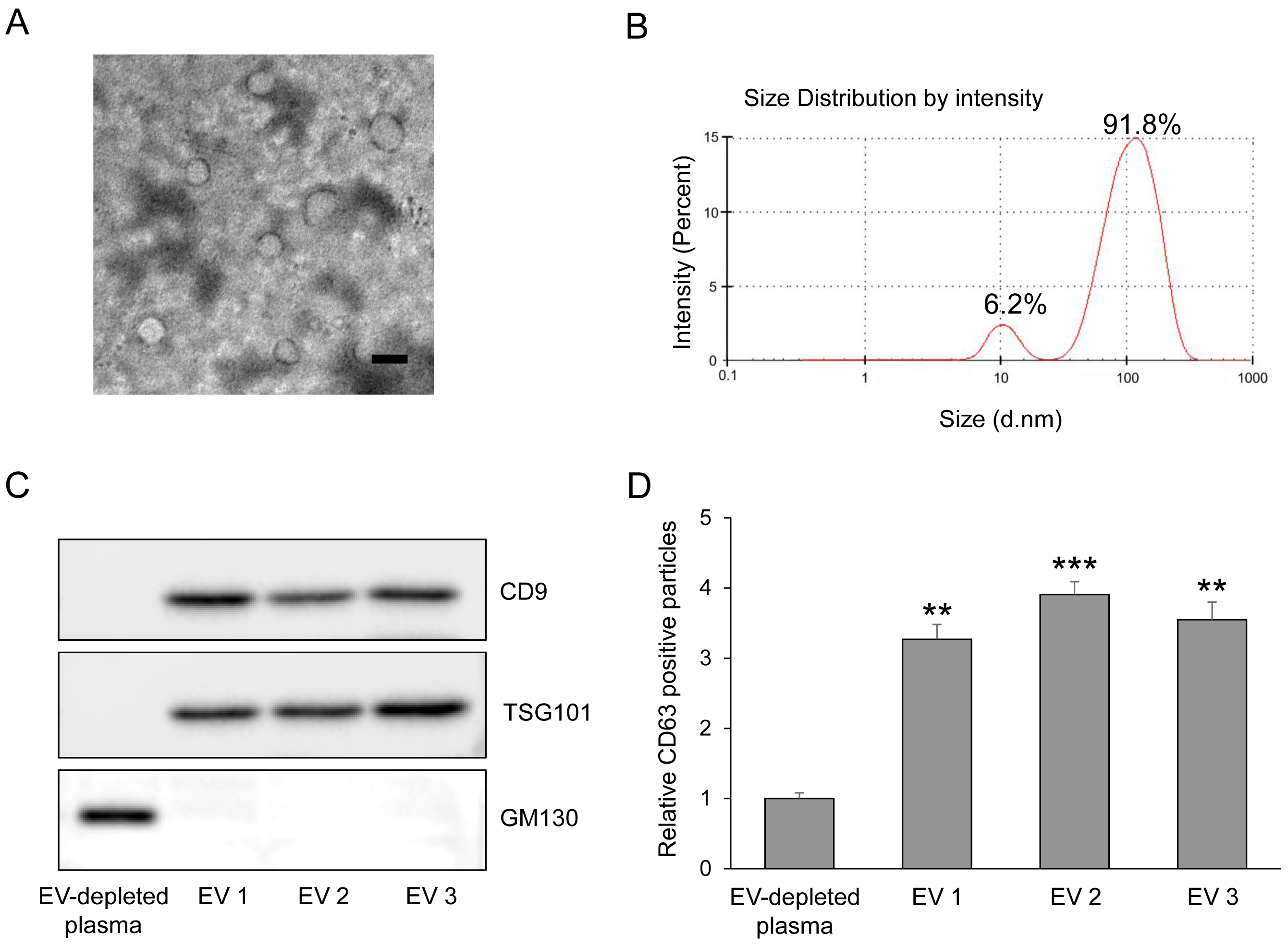 Antioxidants 15 00150 g001