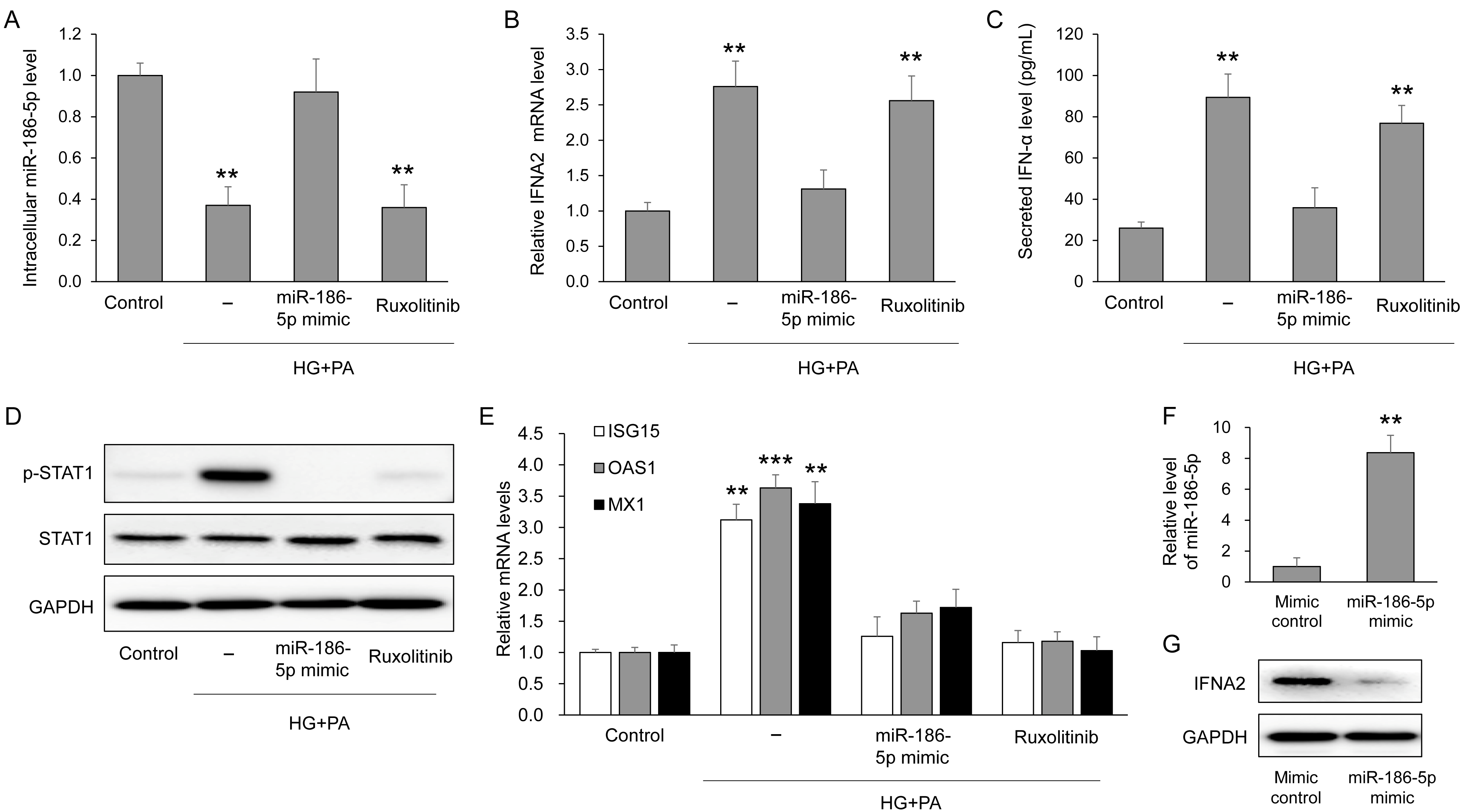 Antioxidants 15 00150 g005