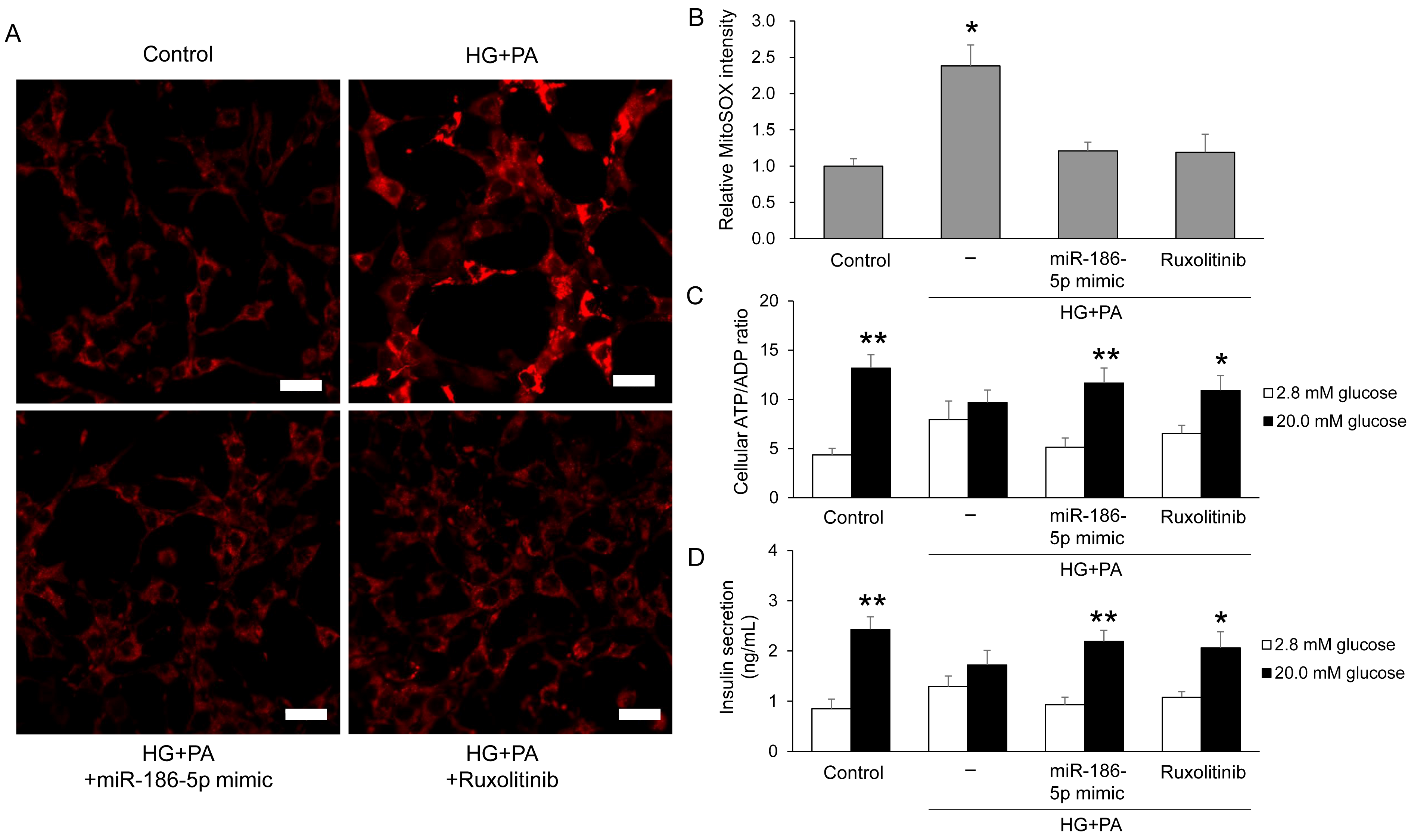 Antioxidants 15 00150 g006