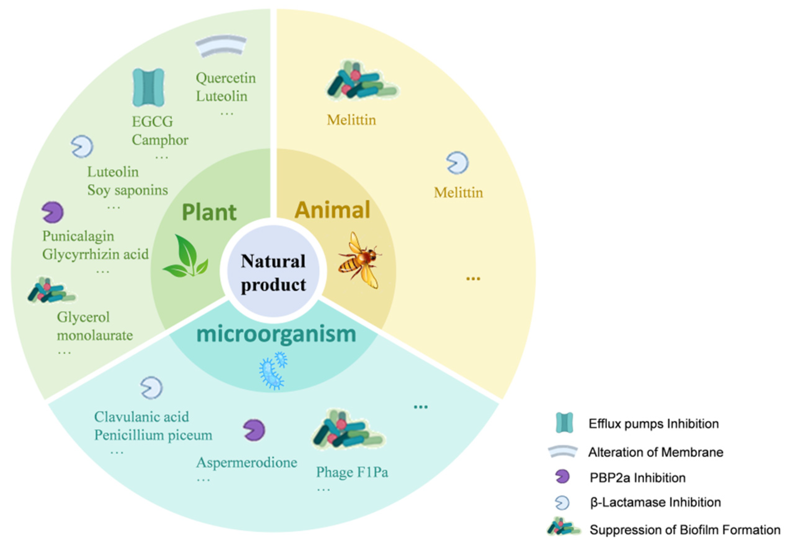Antioxidants 15 00154 g002