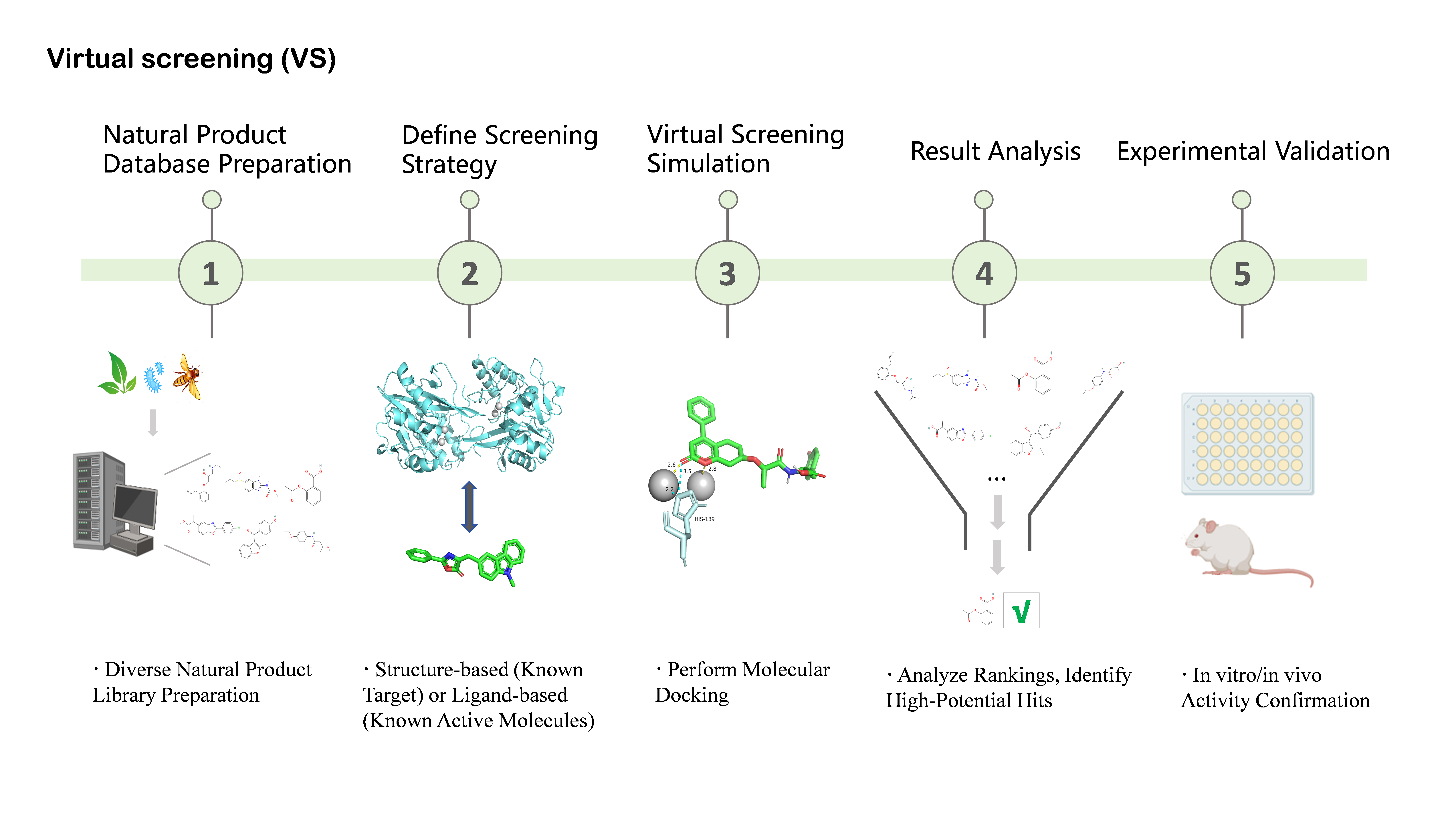 Antioxidants 15 00154 g004