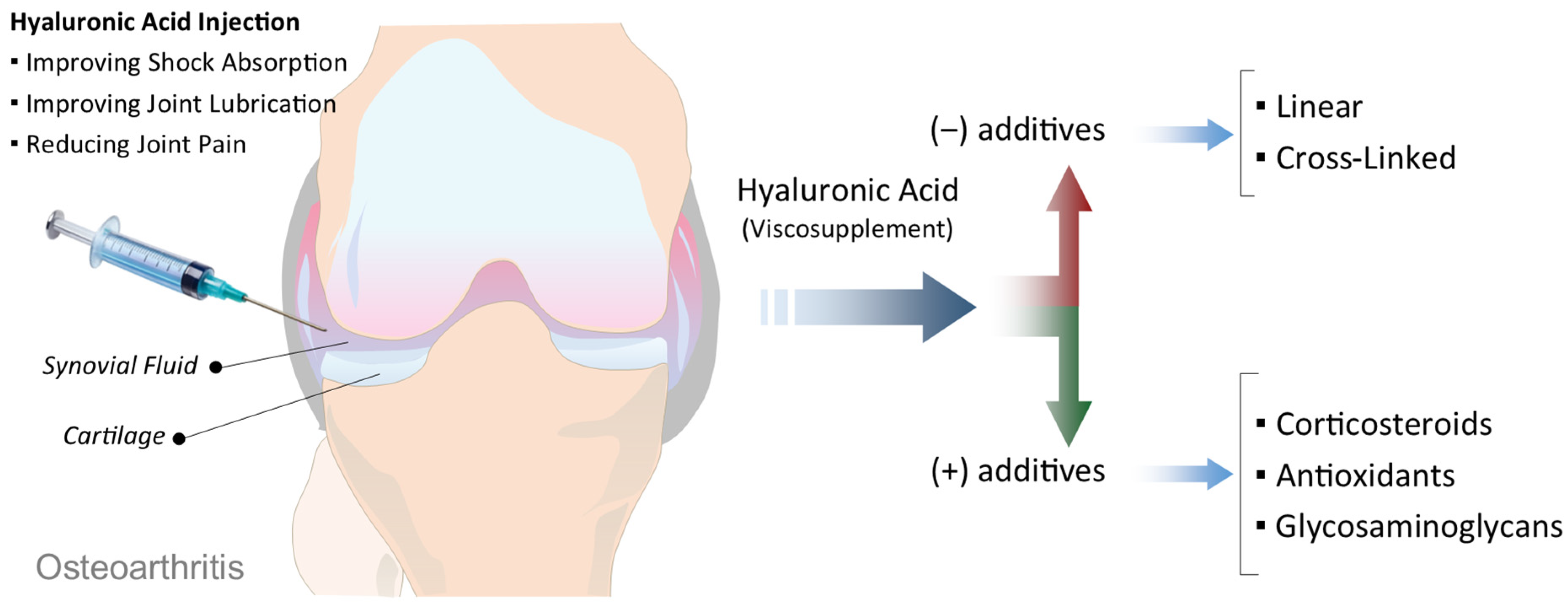 Antioxidants 15 00163 g002