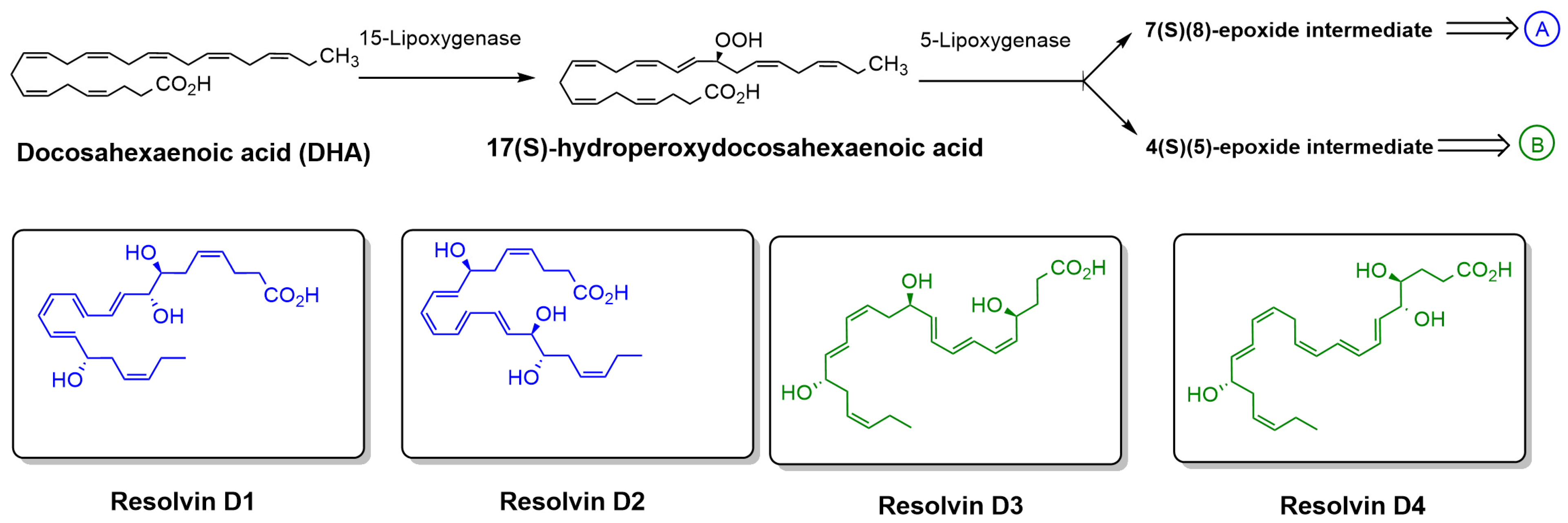 Antioxidants 15 00163 g003