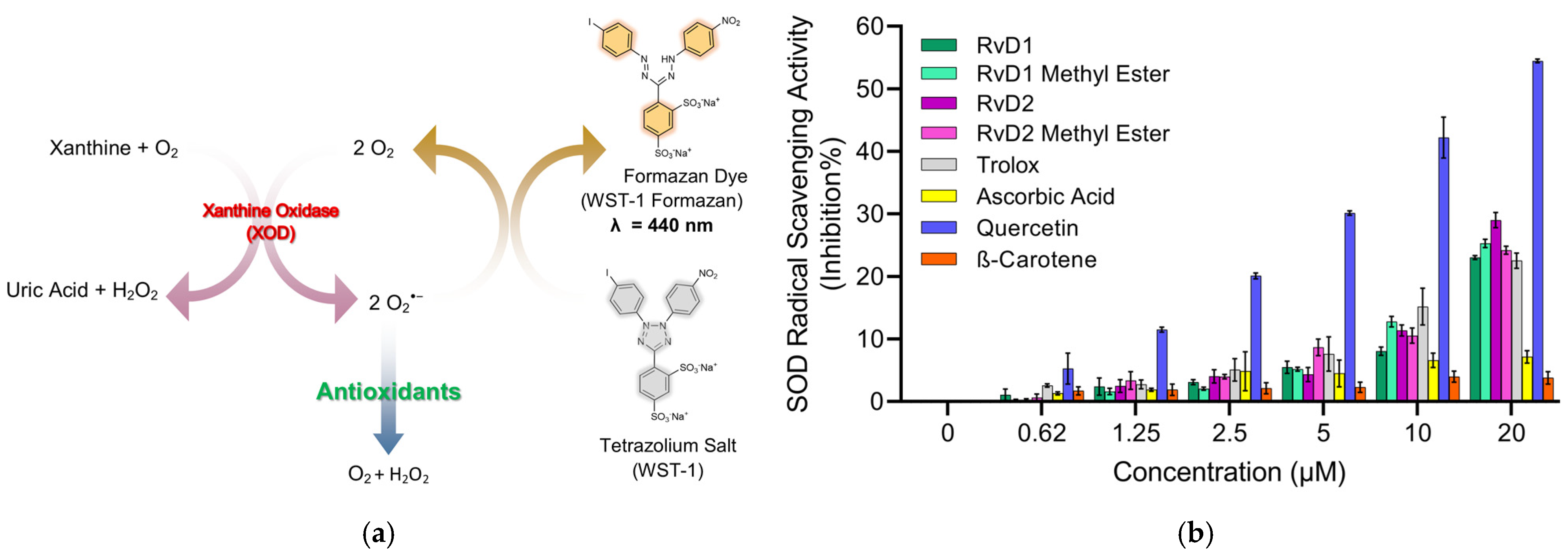 Antioxidants 15 00163 g008