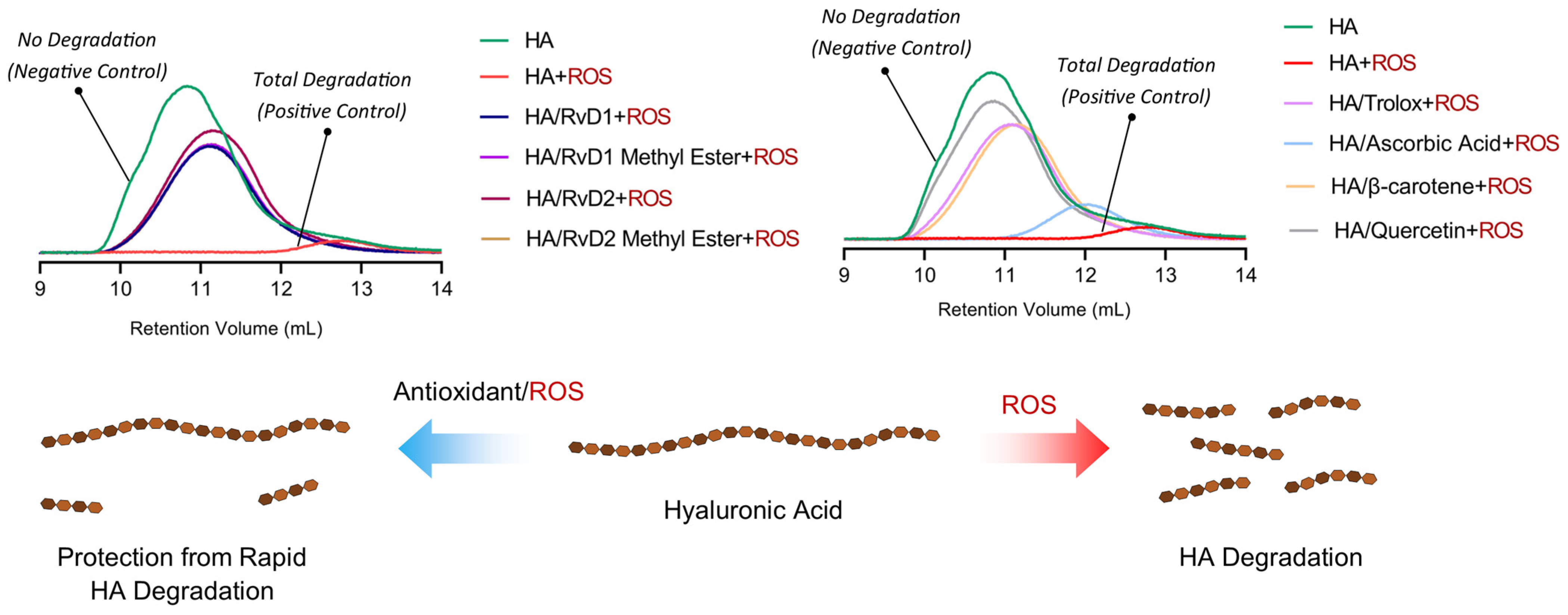 Antioxidants 15 00163 g011