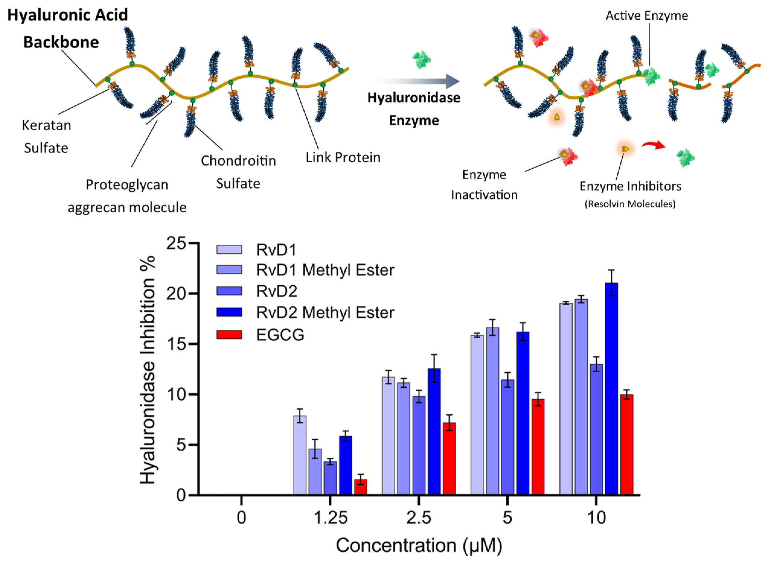 Antioxidants 15 00163 g012