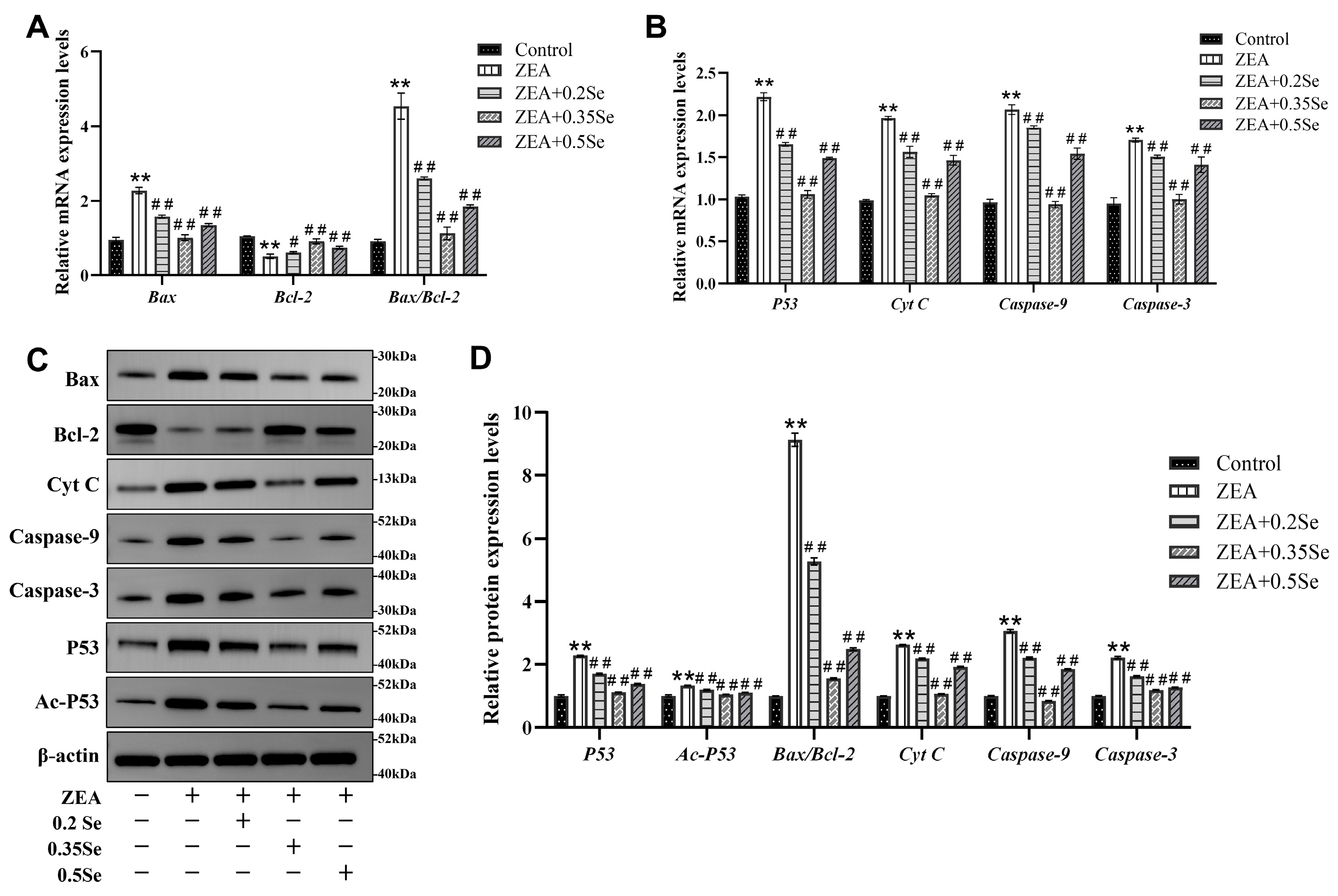 Antioxidants 15 00176 g005 Antioxidants 15 00176 g005