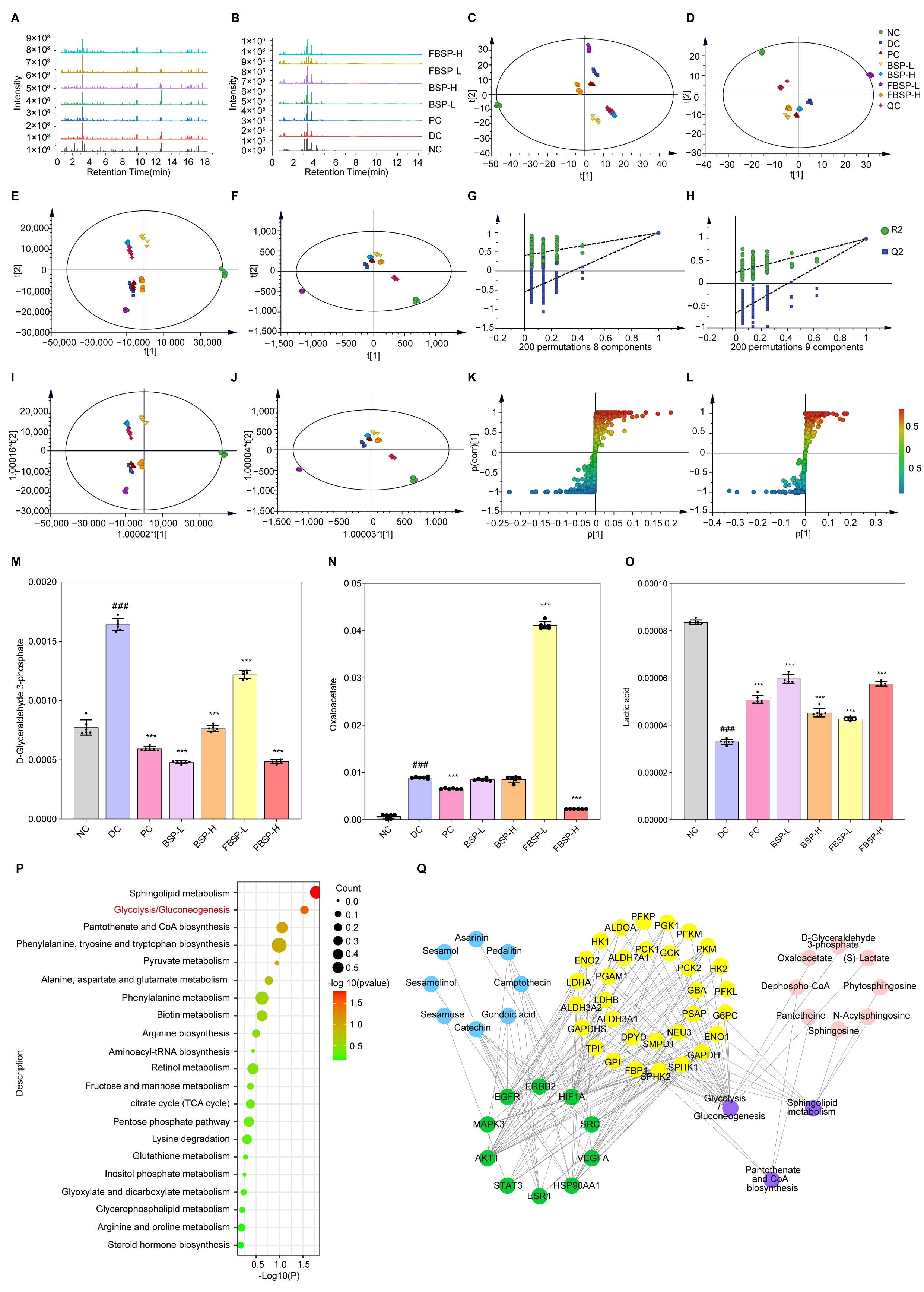 Antioxidants 15 00177 g004