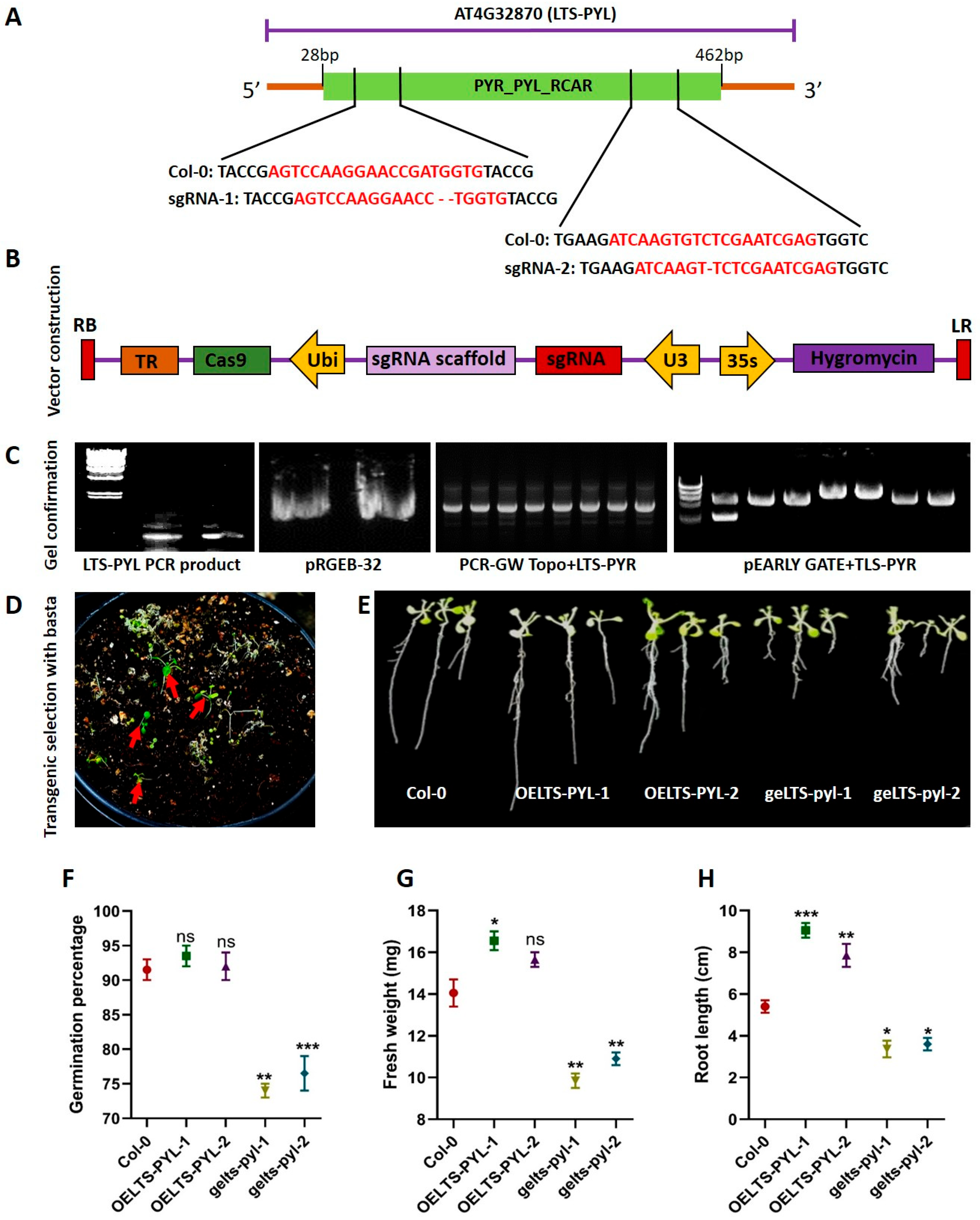 Antioxidants 15 00178 g001 Antioxidants 15 00178 g001