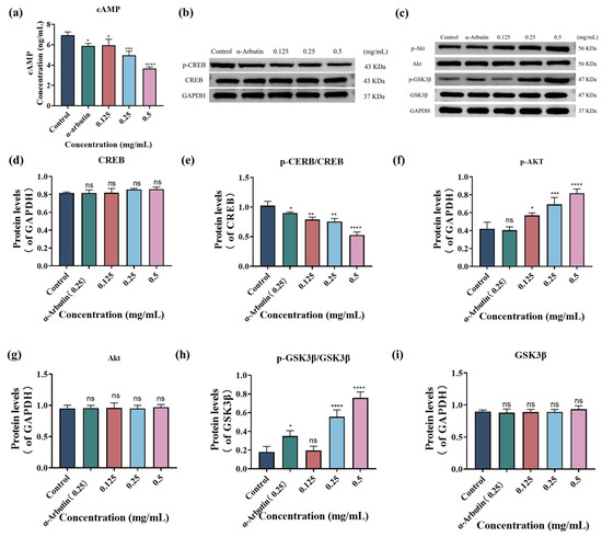 Antioxidants 15 00181 g004