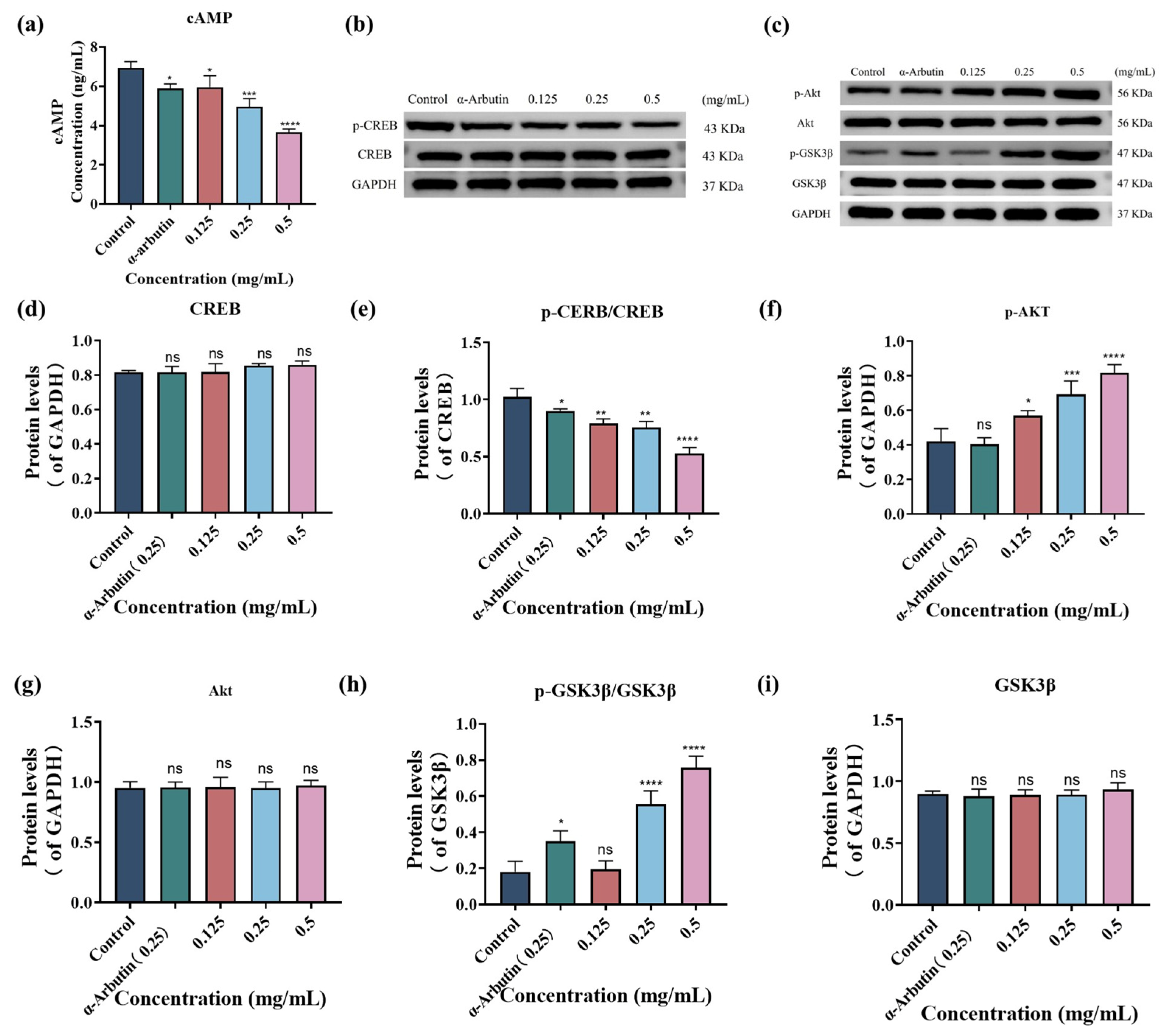 Antioxidants 15 00181 g004