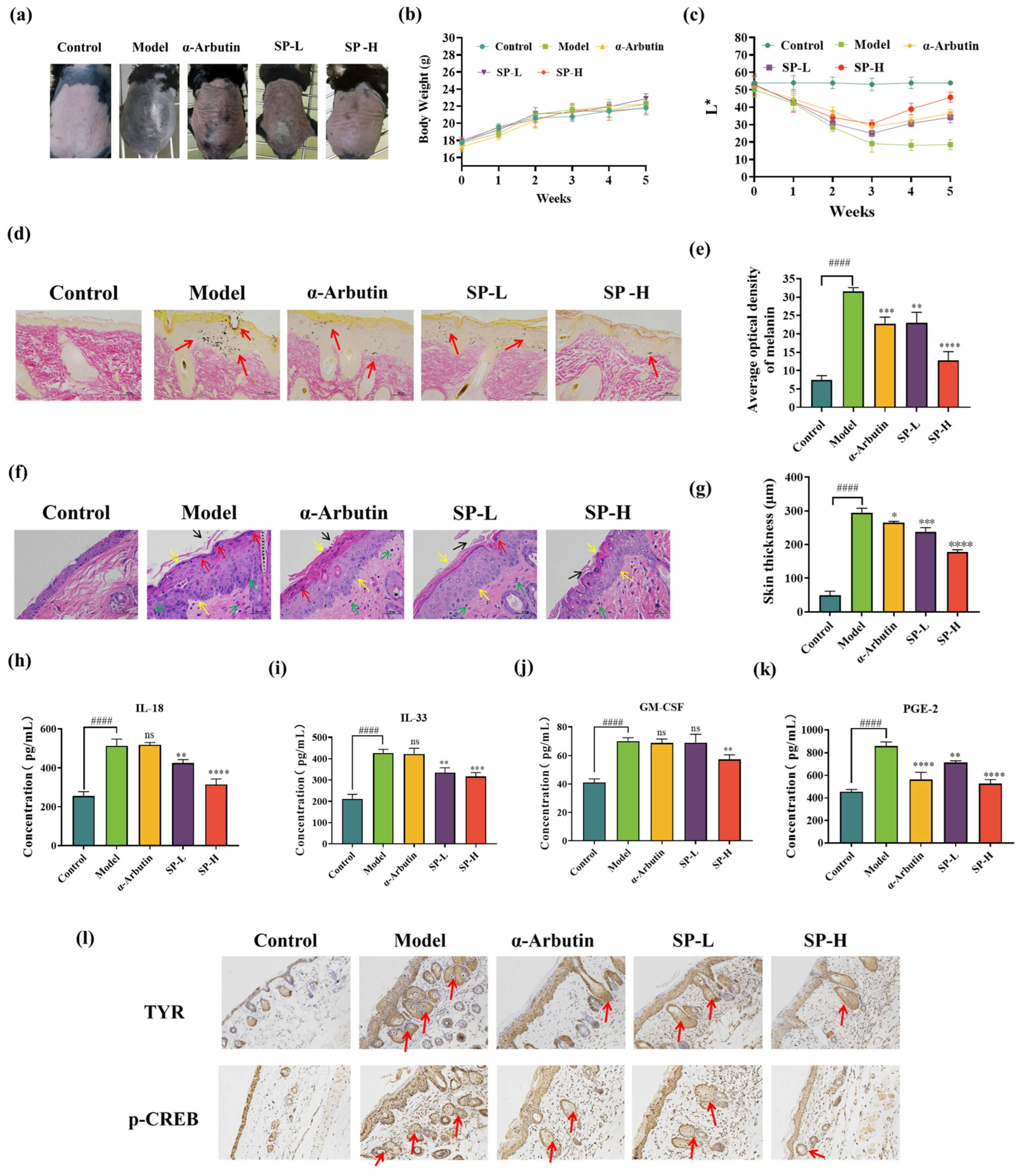 Antioxidants 15 00181 g007