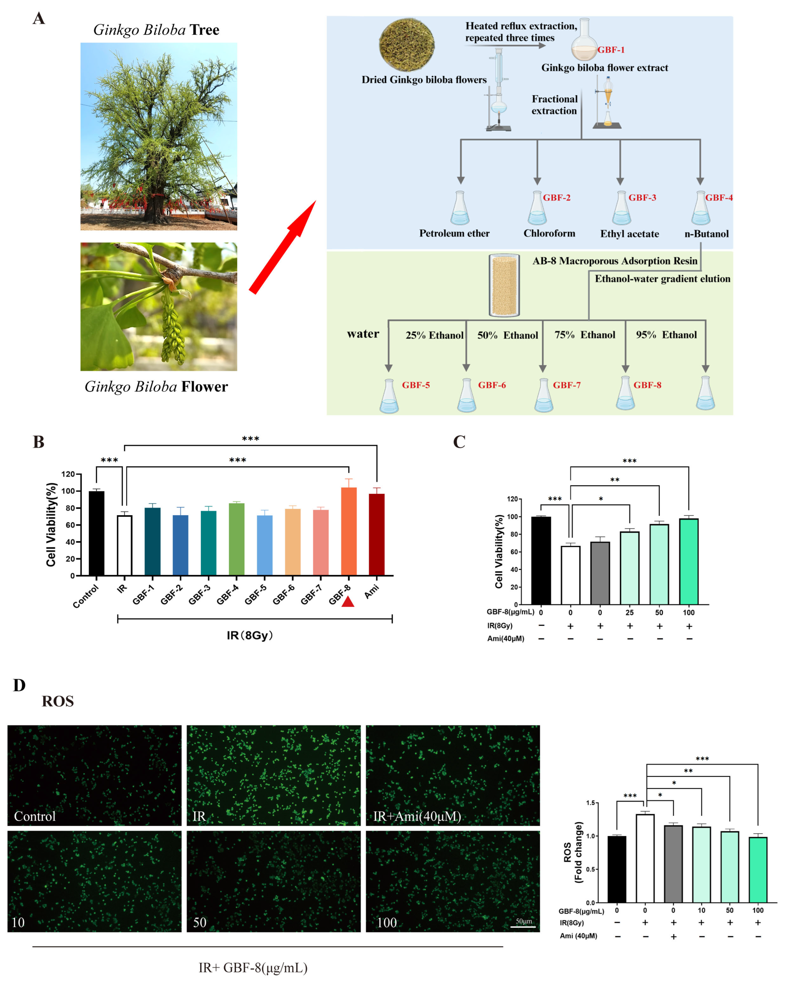 Antioxidants 15 00183 g001