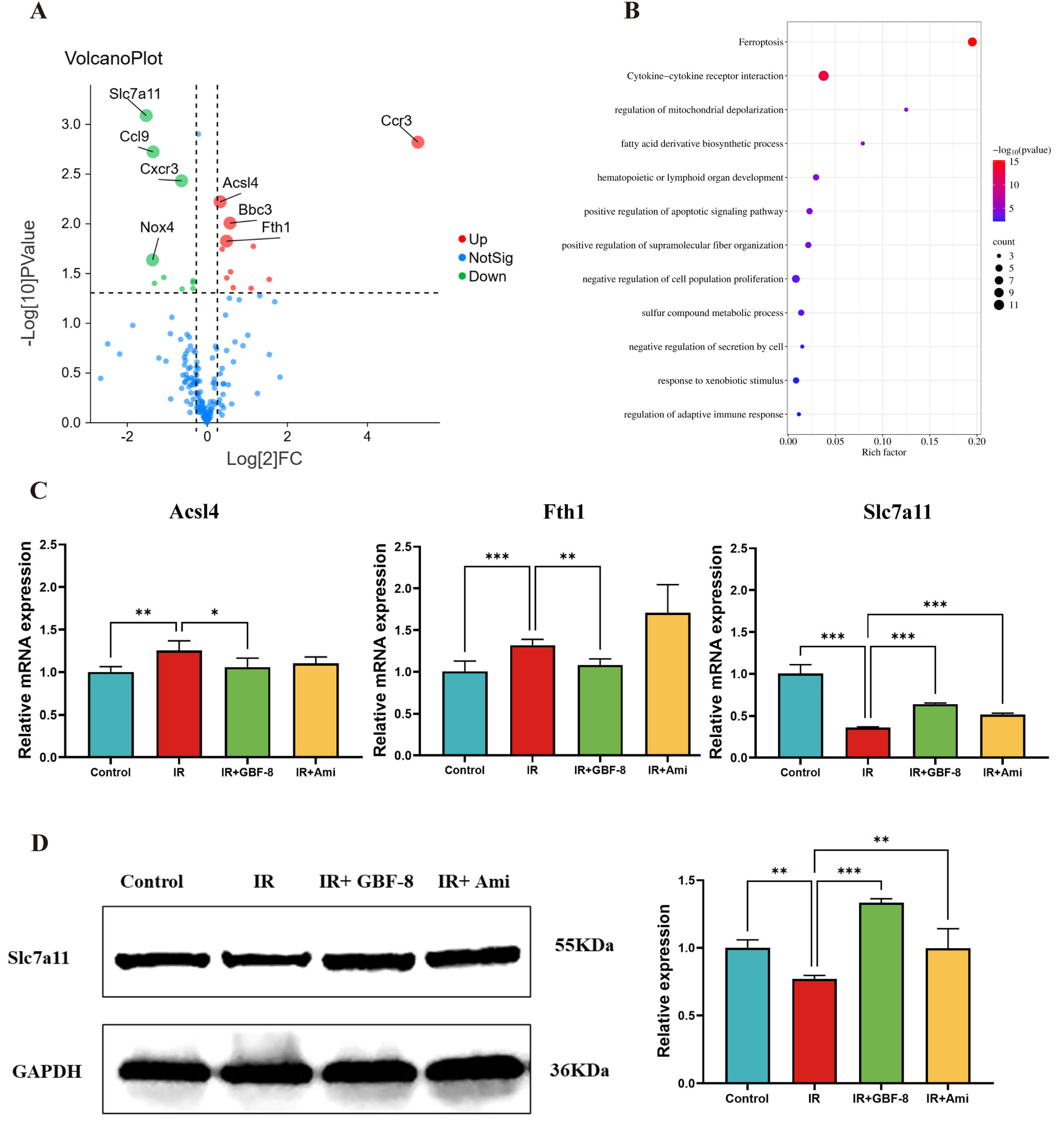 Antioxidants 15 00183 g005