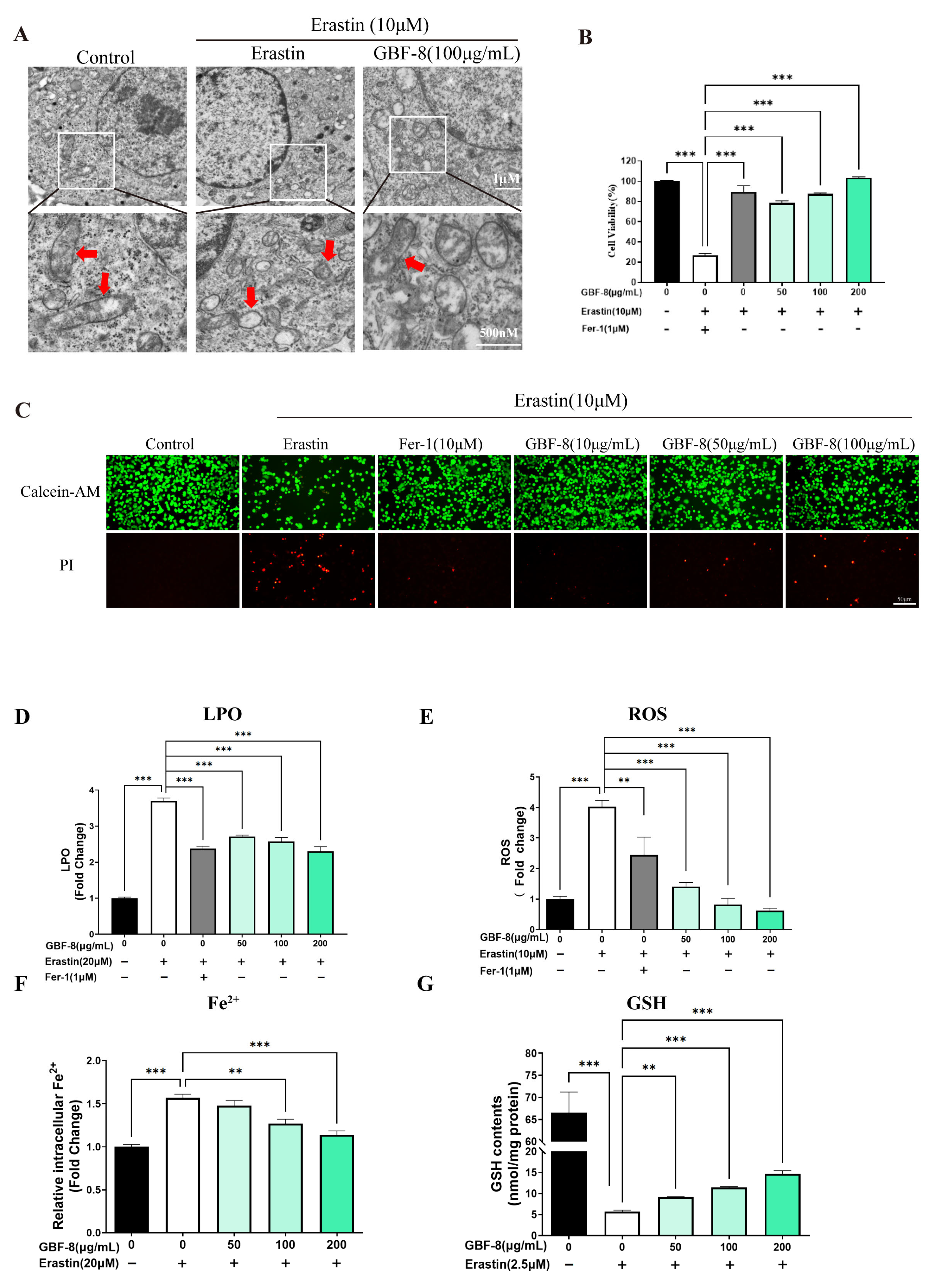 Antioxidants 15 00183 g006