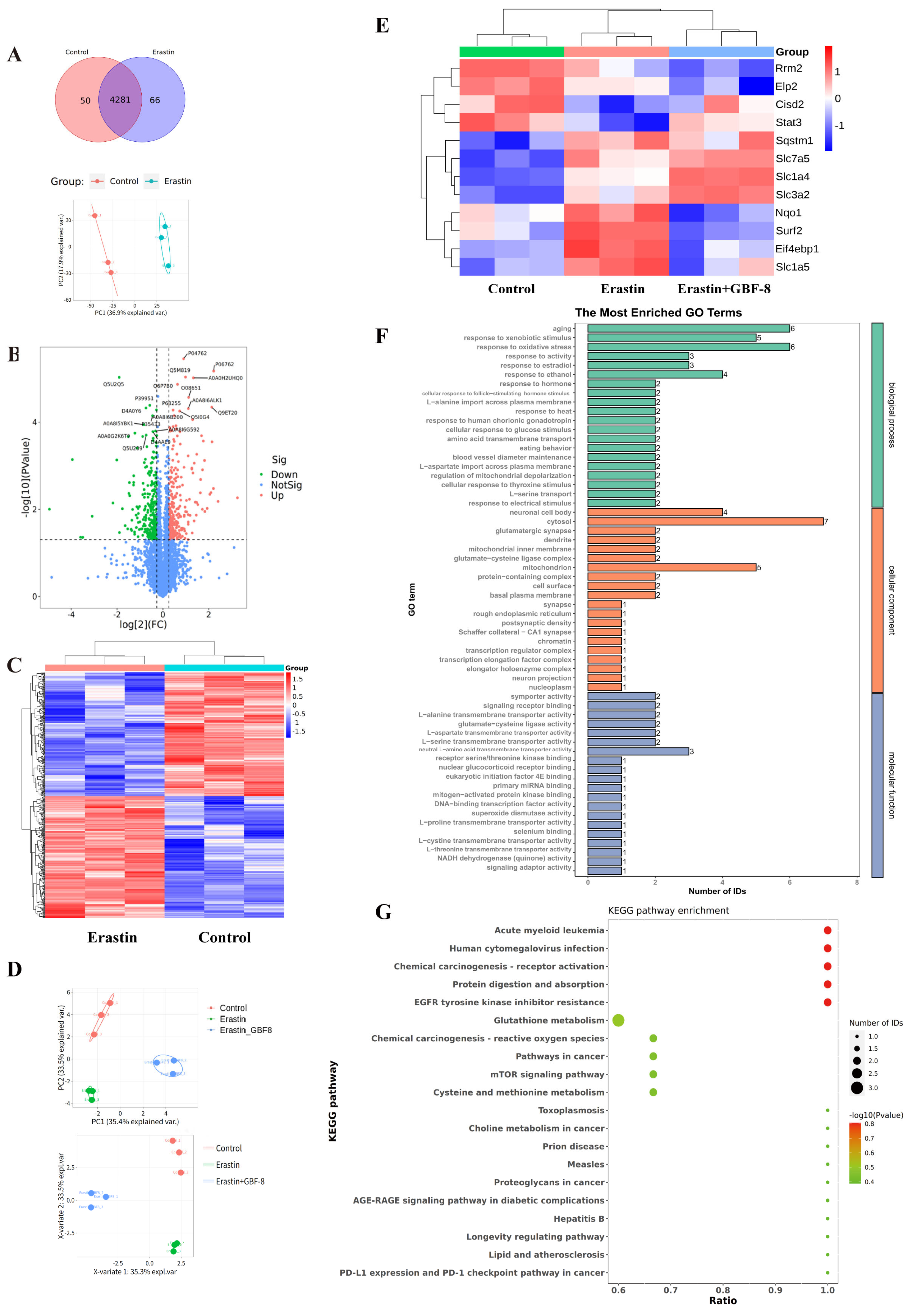 Antioxidants 15 00183 g008
