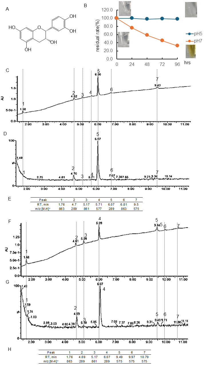 Antioxidants 15 00194 g001