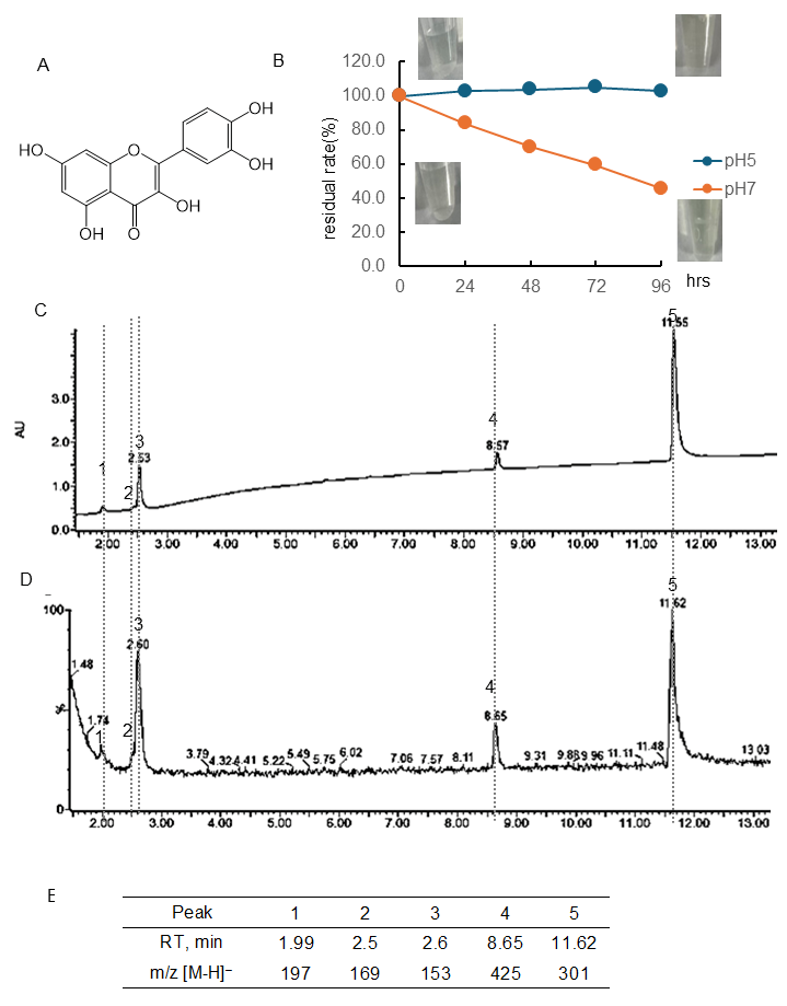 Antioxidants 15 00194 g003
