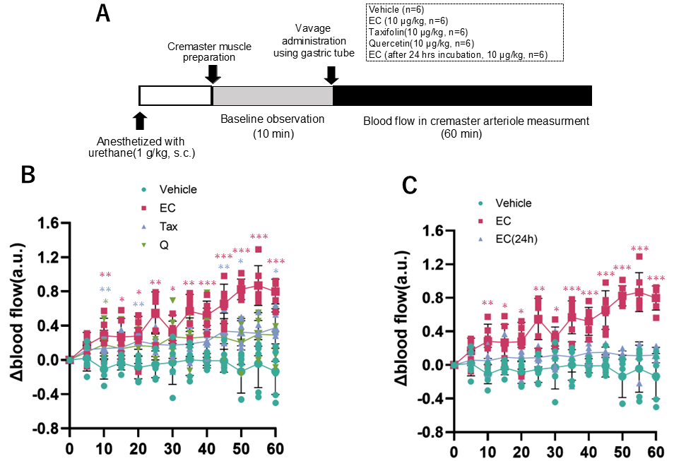 Antioxidants 15 00194 g009